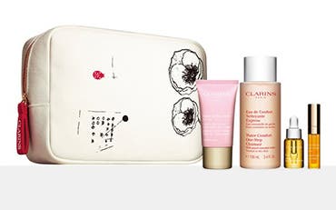 clarins gift nordstrom purchase multi