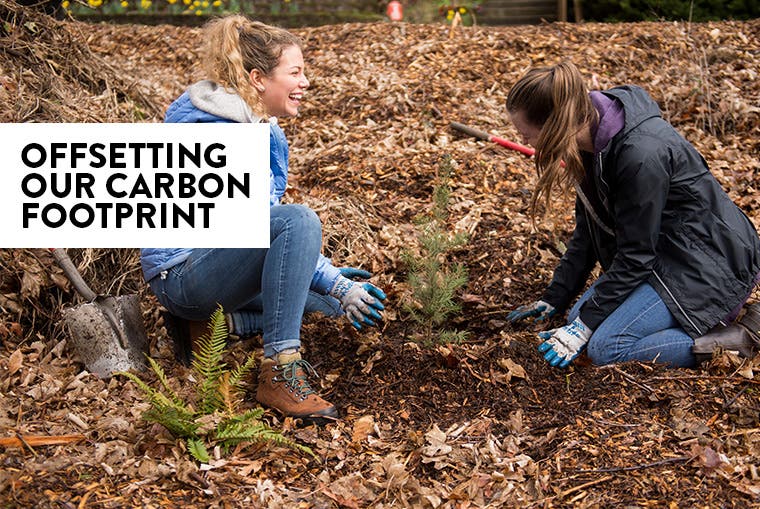 Offsetting our carbon footprint.