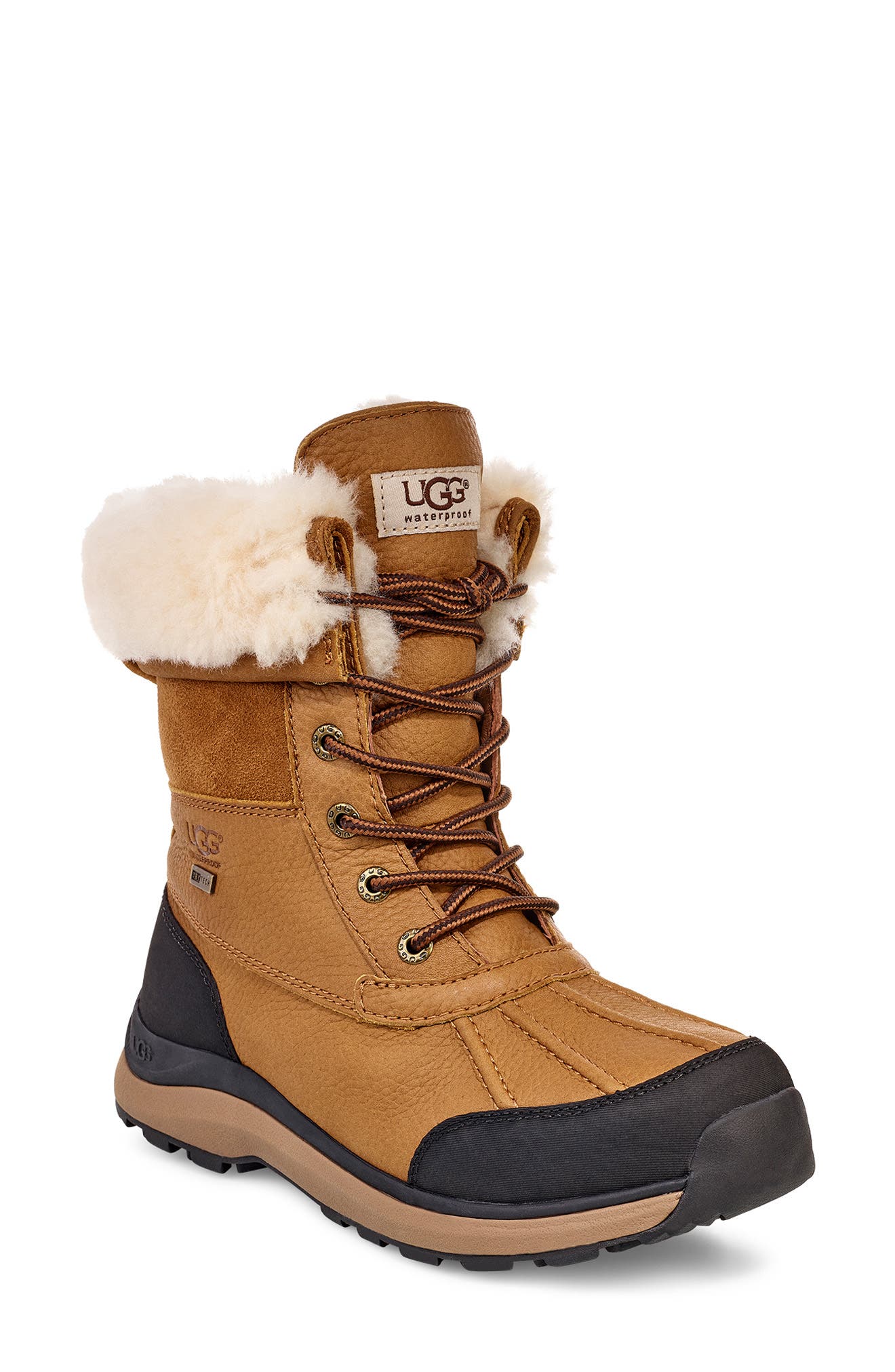 low top uggs