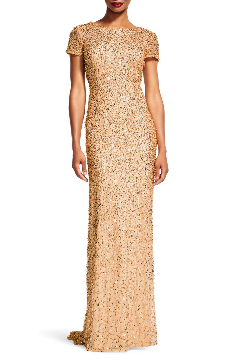 Adrianna Papell Short Sleeve  Sequin Mesh Gown Nordstrom 