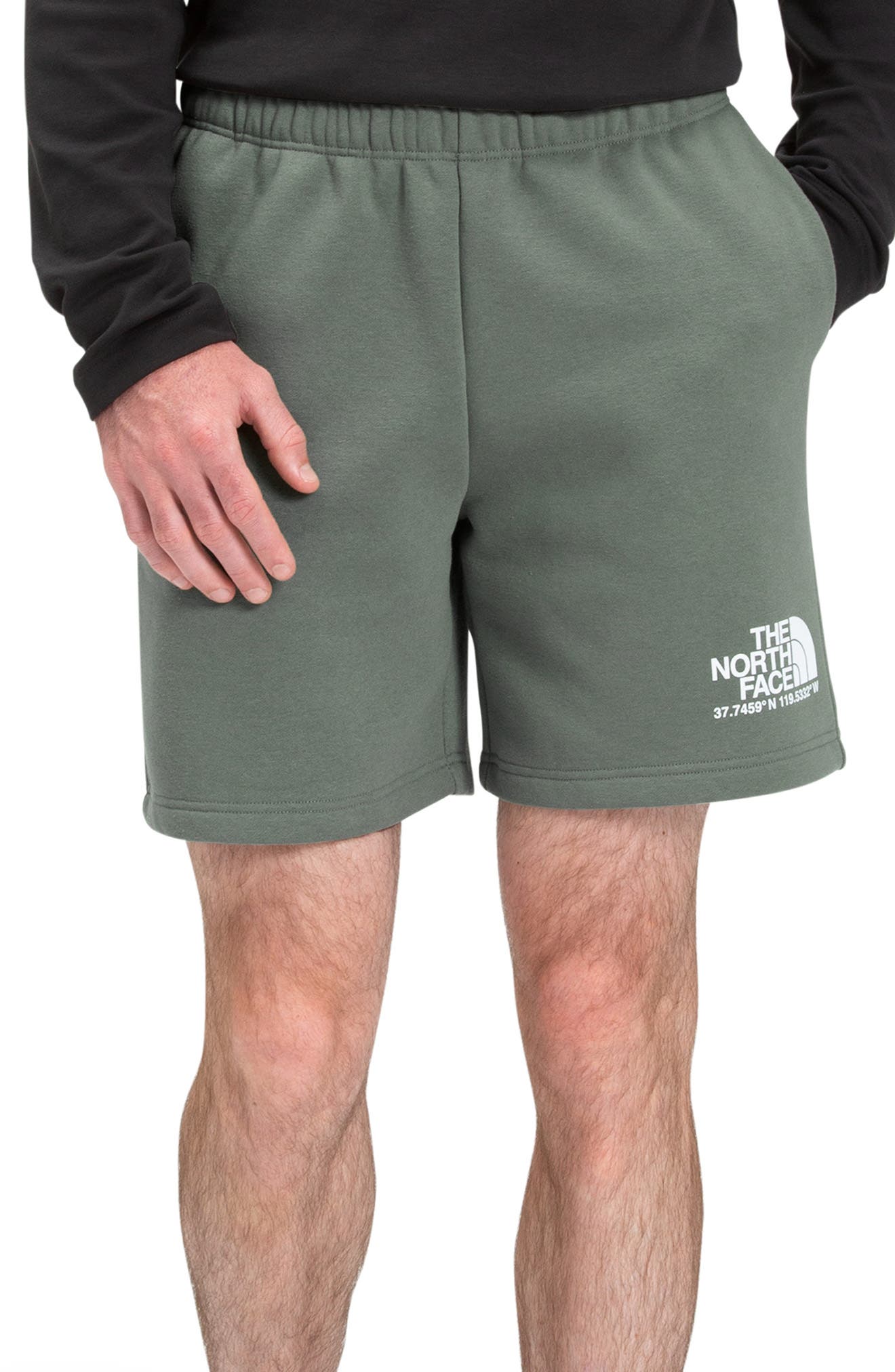 north face sweat shorts