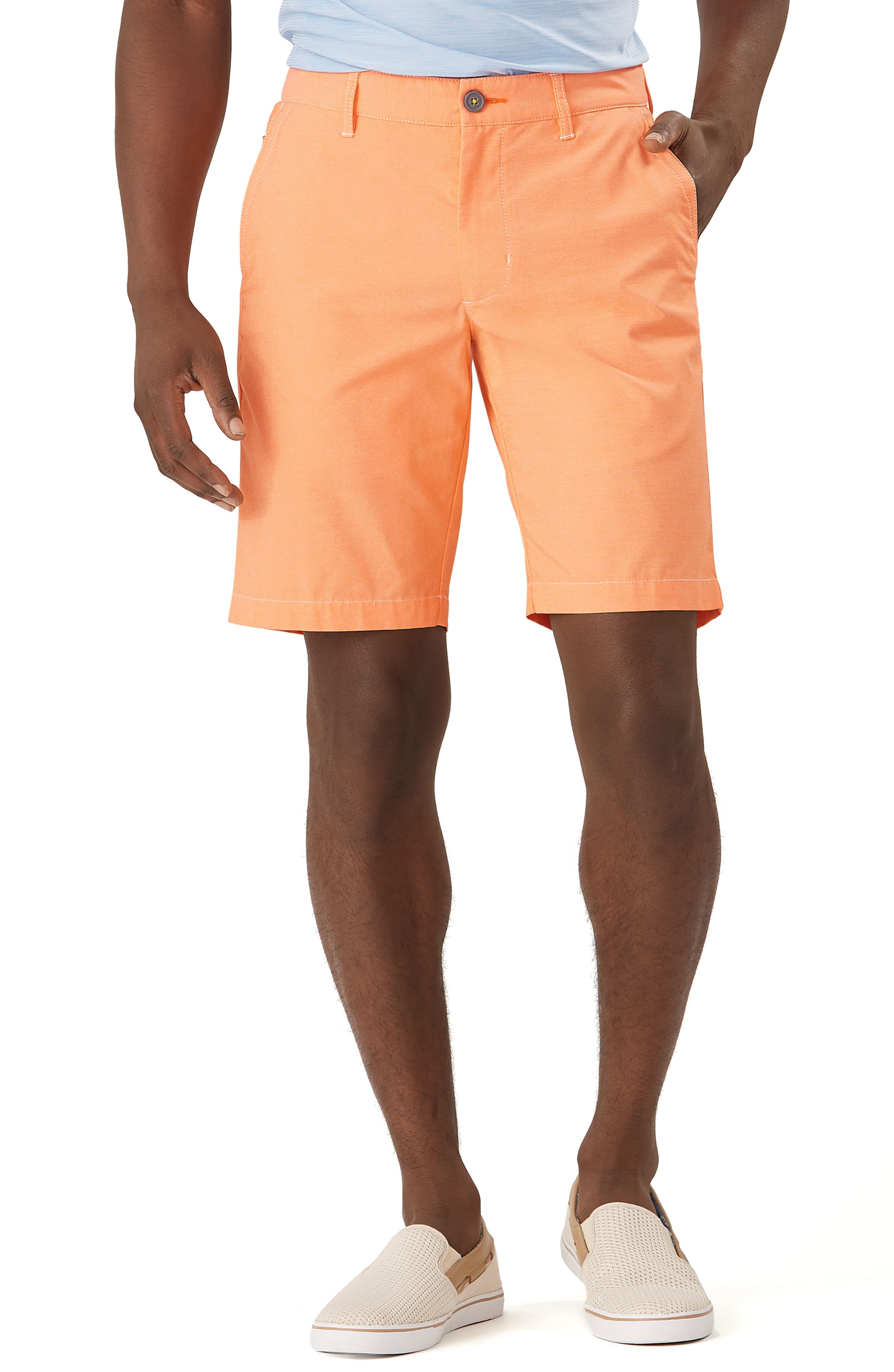 tommy bahama big and tall shorts