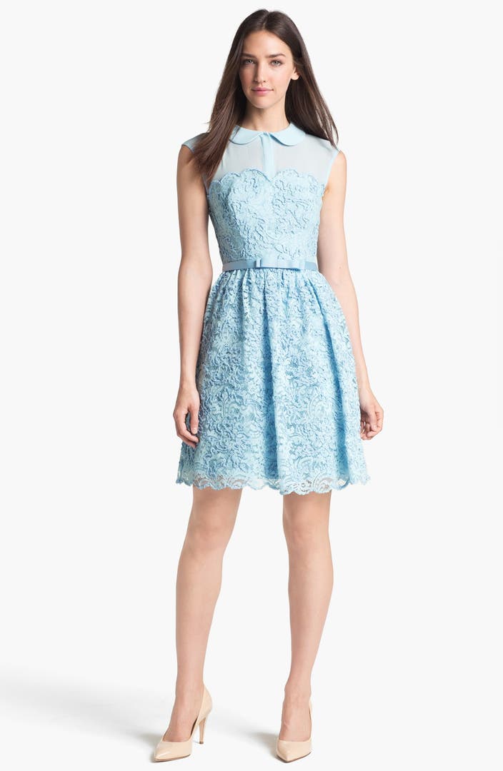 Ted Baker London Lace Fit & Flare Dress (Online Only) | Nordstrom