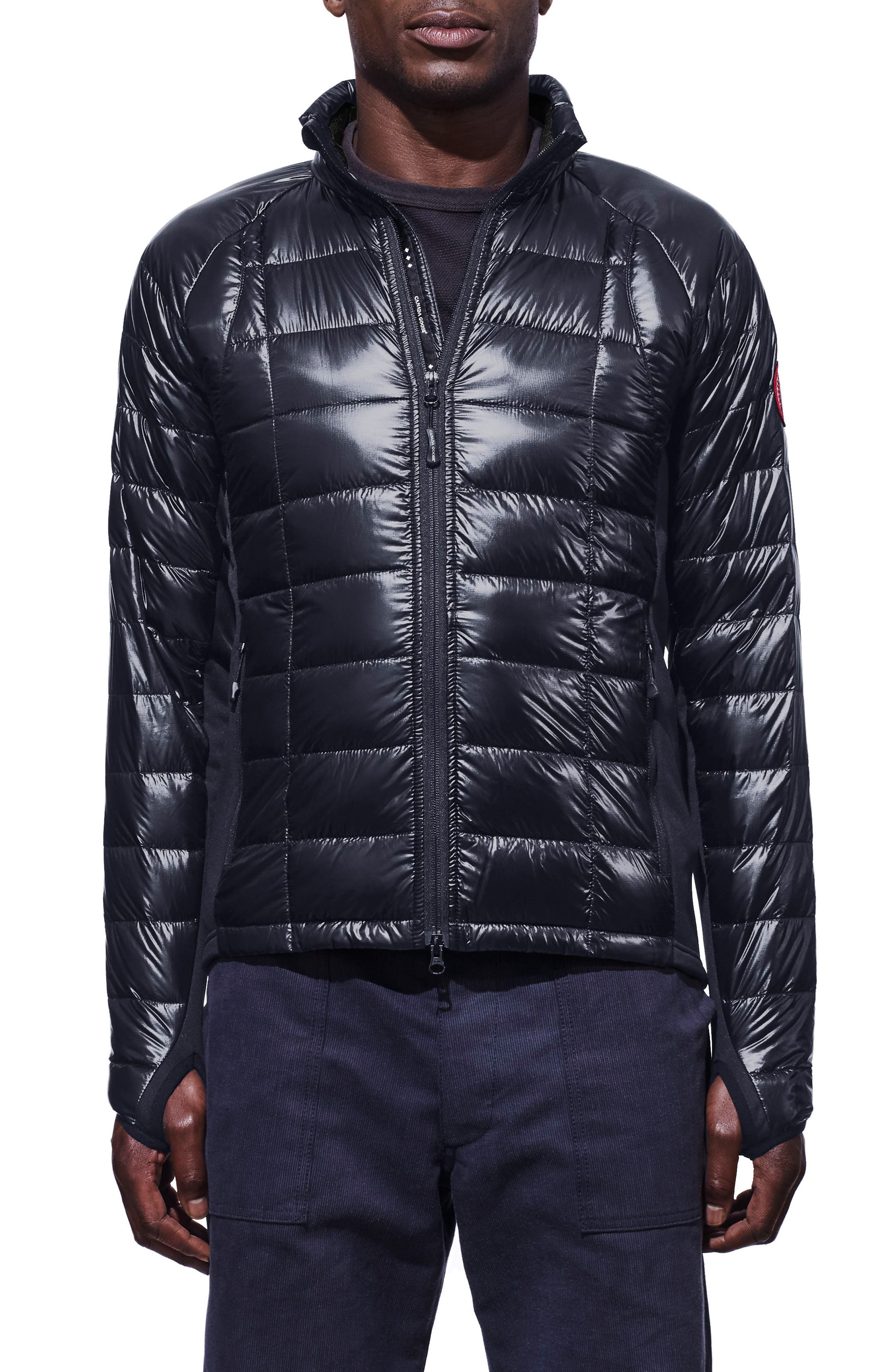 Canada Goose