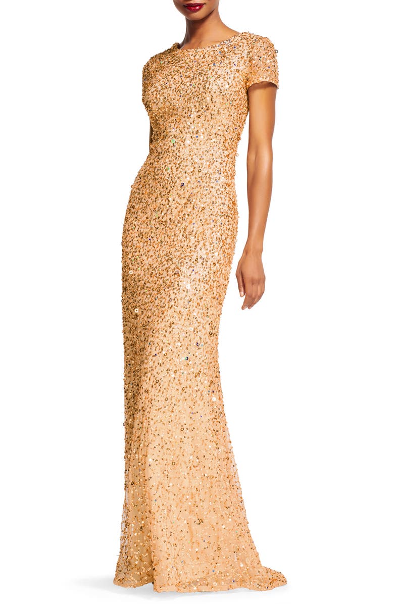 Adrianna Papell Short Sleeve Sequin Mesh Gown | Nordstrom