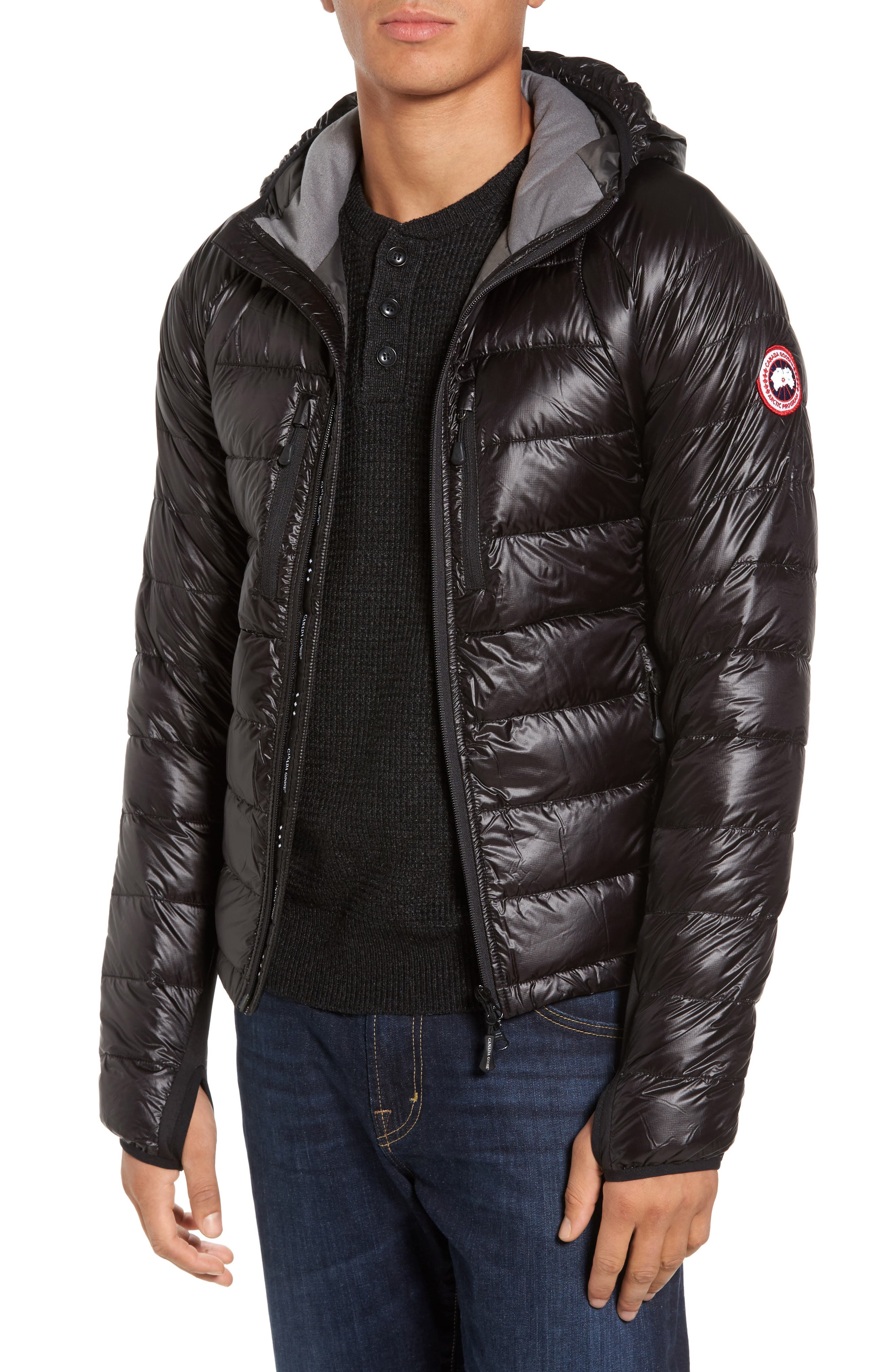 Canada Goose