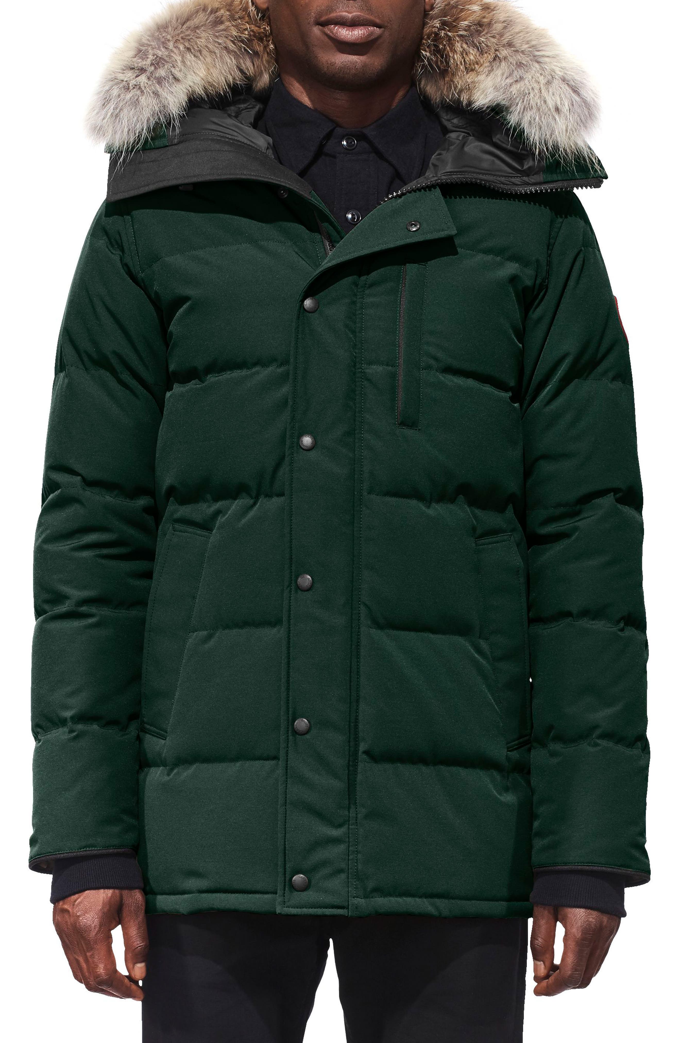 Canada Goose