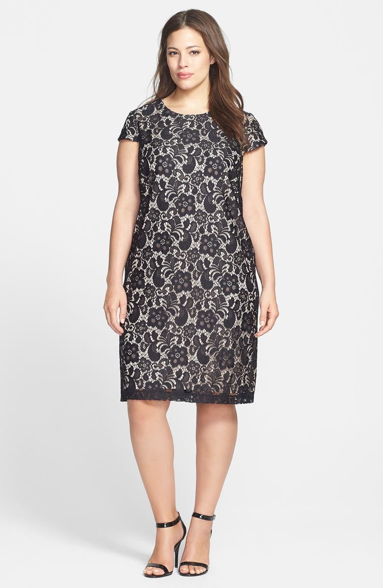 Ivy & Blu Lace Shift Dress (Plus Size) | Nordstrom