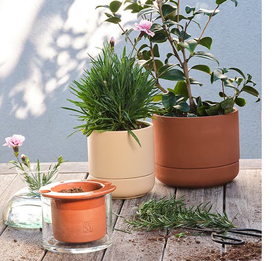 Spring awakening: planters, tonal dishware from Rigby Home, a bed with tan gingham and light-blue linen sheets.