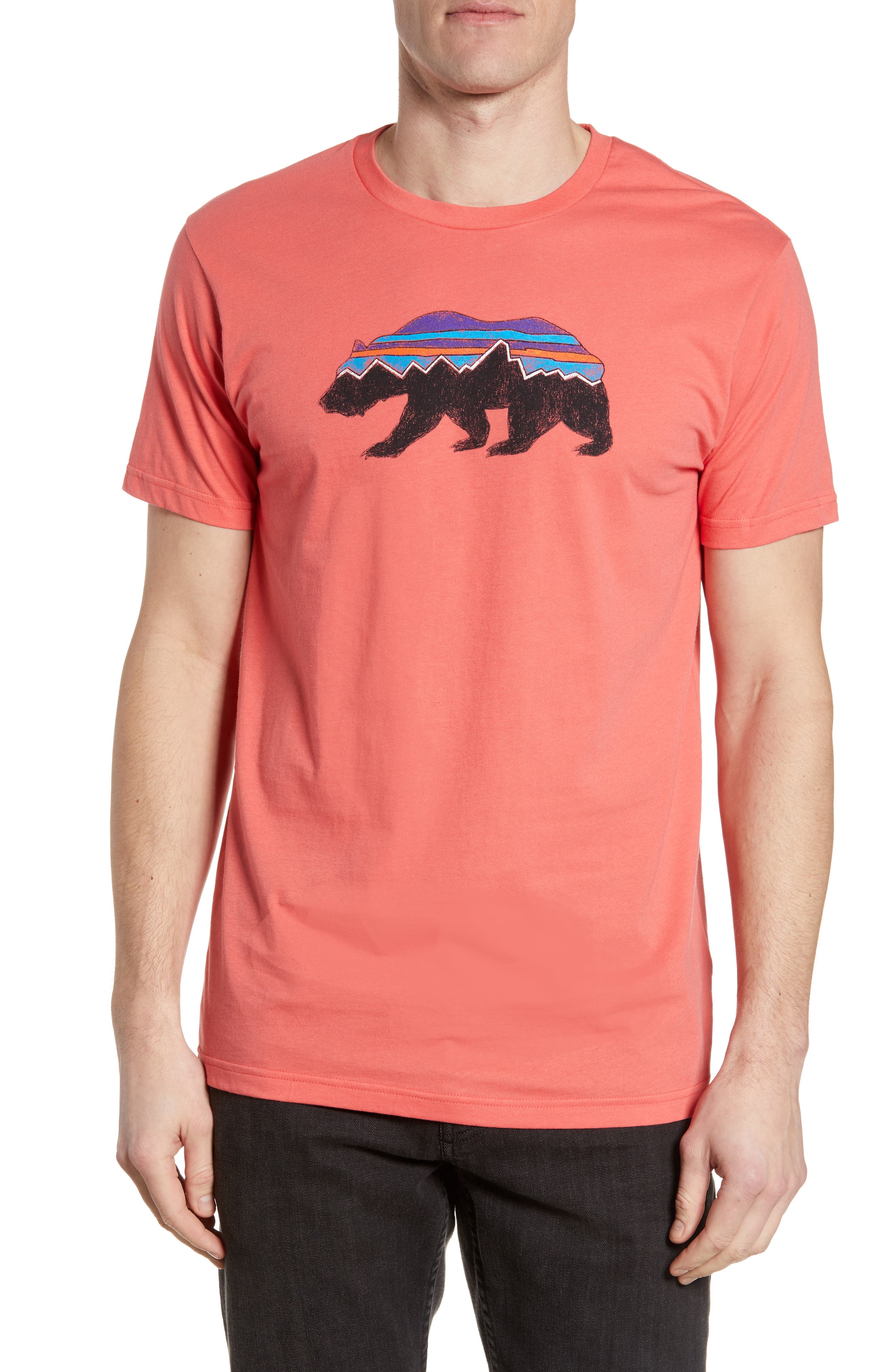 Patagonia Fitz Roy Bear Crewneck T-Shirt