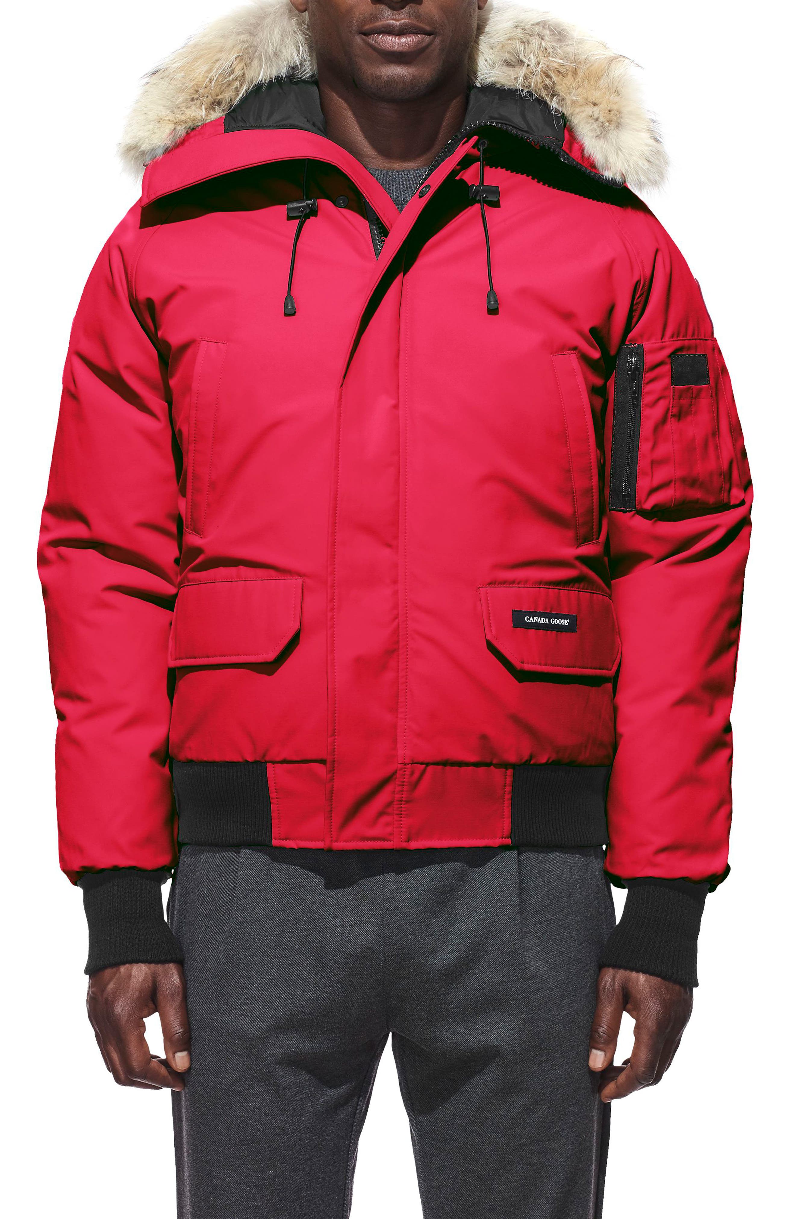 Canada Goose Pbi Chilliwack Regular Fit Down Bomber Jacket With Genuine Coyote Trim, Red