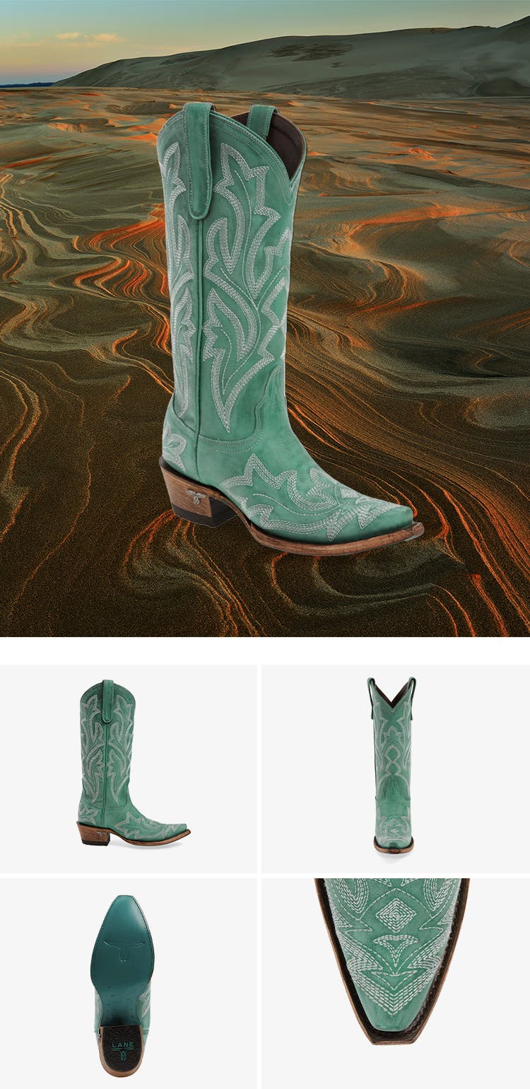 Cowboy Boots: Free People Brayden Western Boots