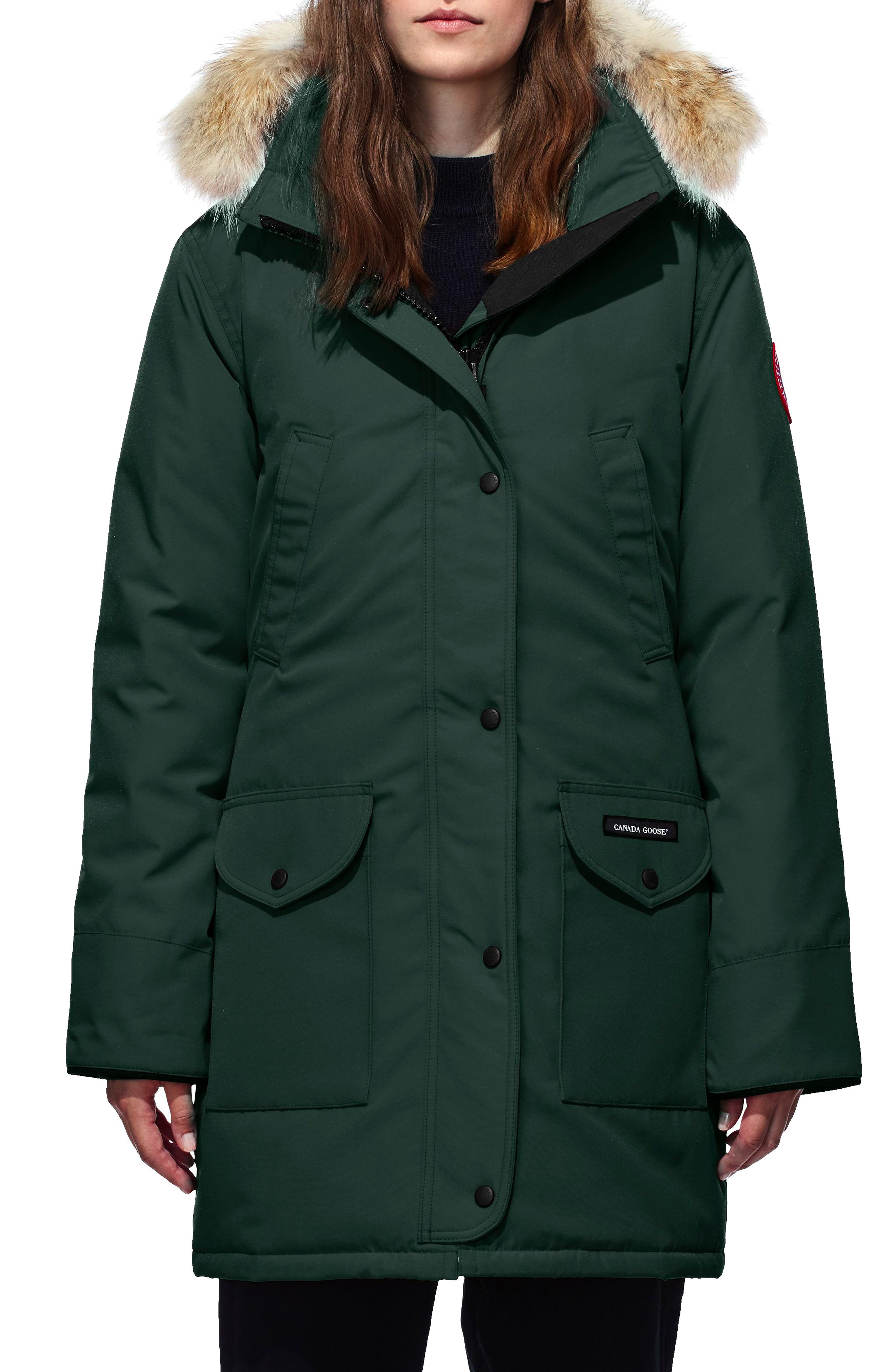 Canada Goose
