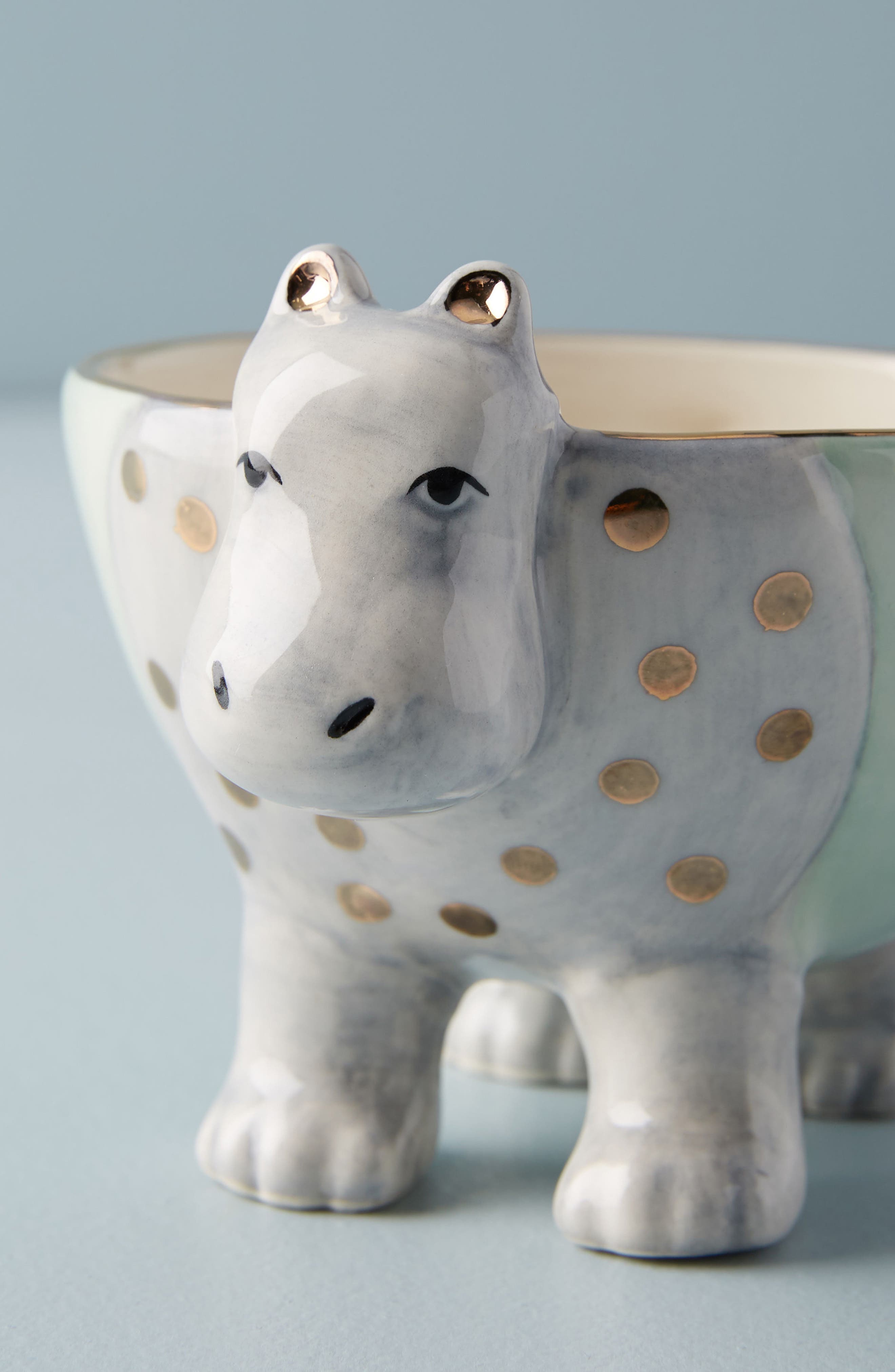 Sweet Safari Trinket Dish | Nordstrom