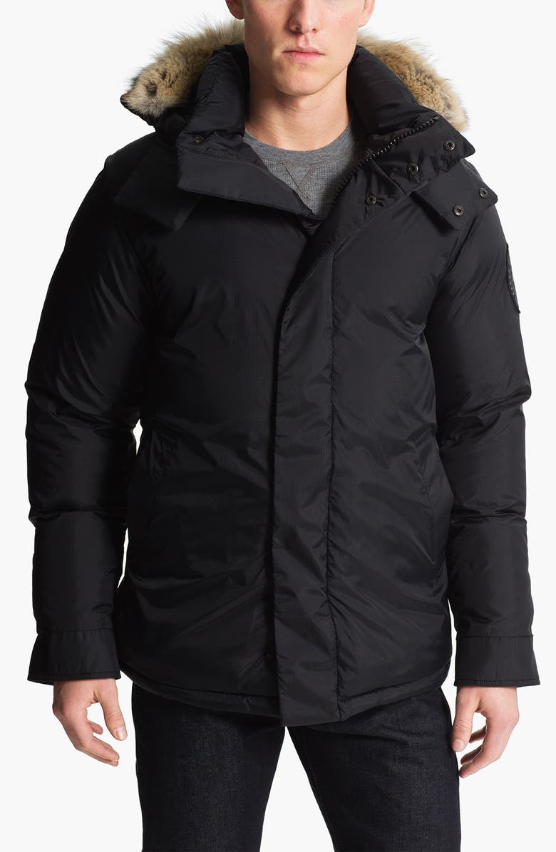 canada goose branta calgary canada goose branta calgary