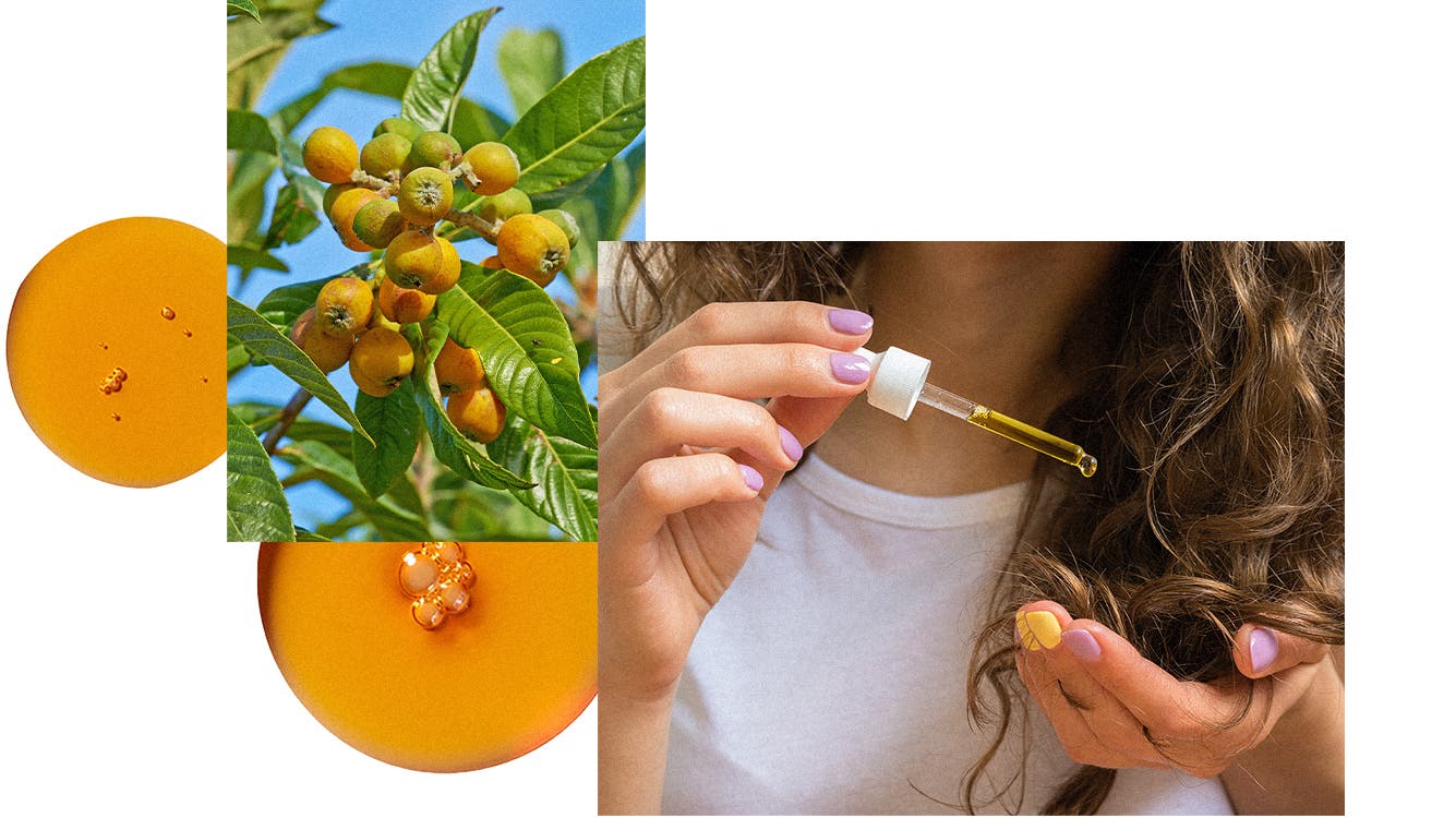 Marula Oil 101 Benefits & How It Can Be Used
