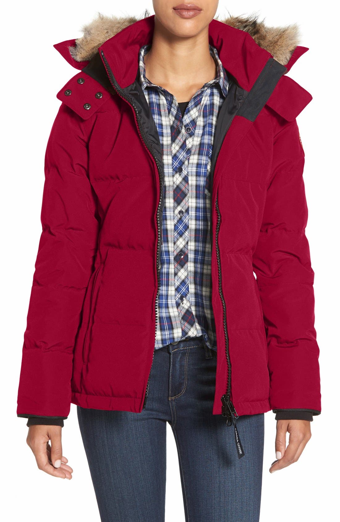 Canada Goose