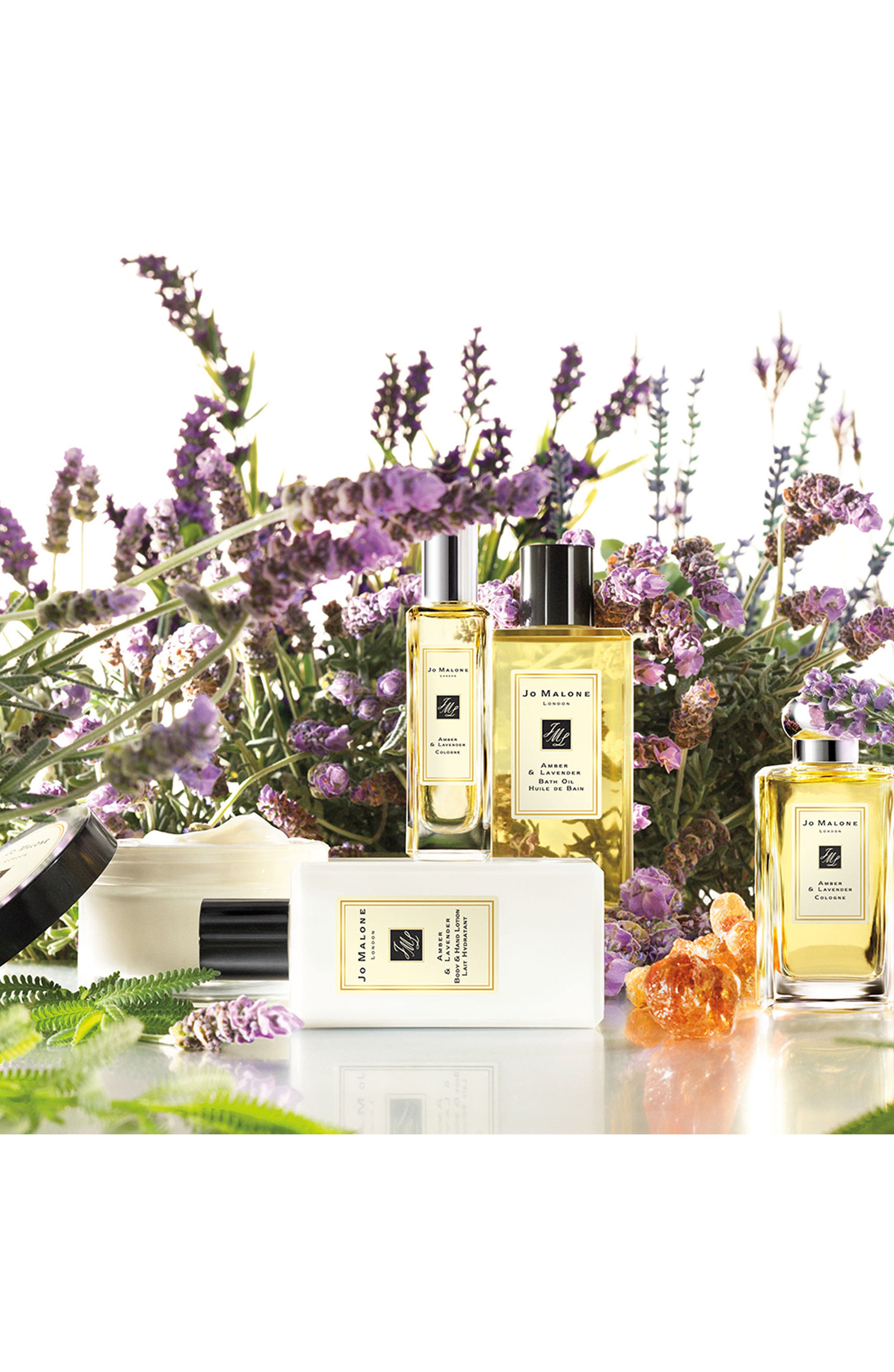à¸�à¸¥à¸�à¸²à¸£à¸�à¹�à¸�à¸«à¸²à¸£à¸¹à¸�à¸�à¸²à¸�à¸ªà¸³à¸«à¸£à¸±à¸� Jo Malone London Amber & Lavender Cologne
