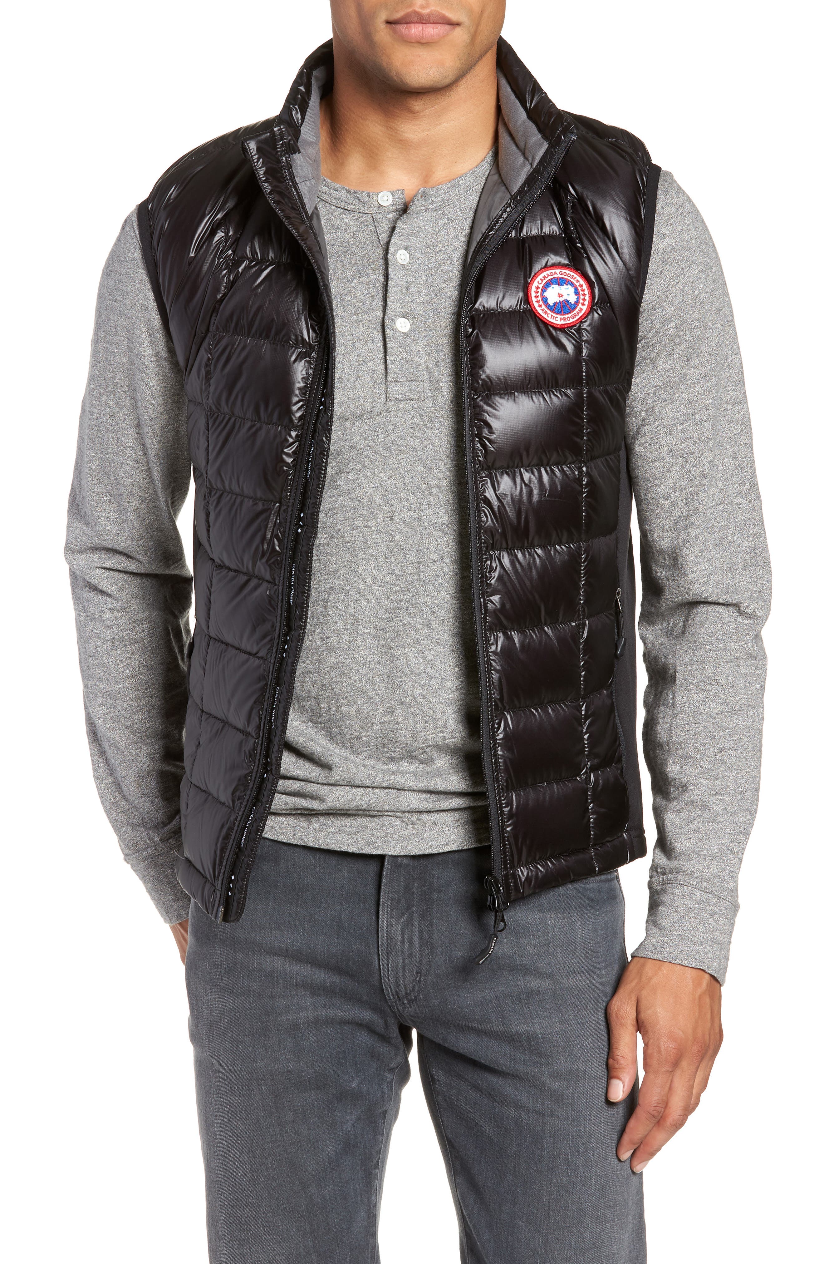 Canada Goose