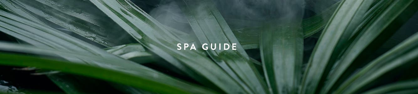 Spa Nordstrom: view services.