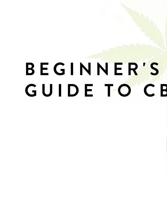 Beginner’s Guide to CBD: the Benefits, the Facts & Our Faves