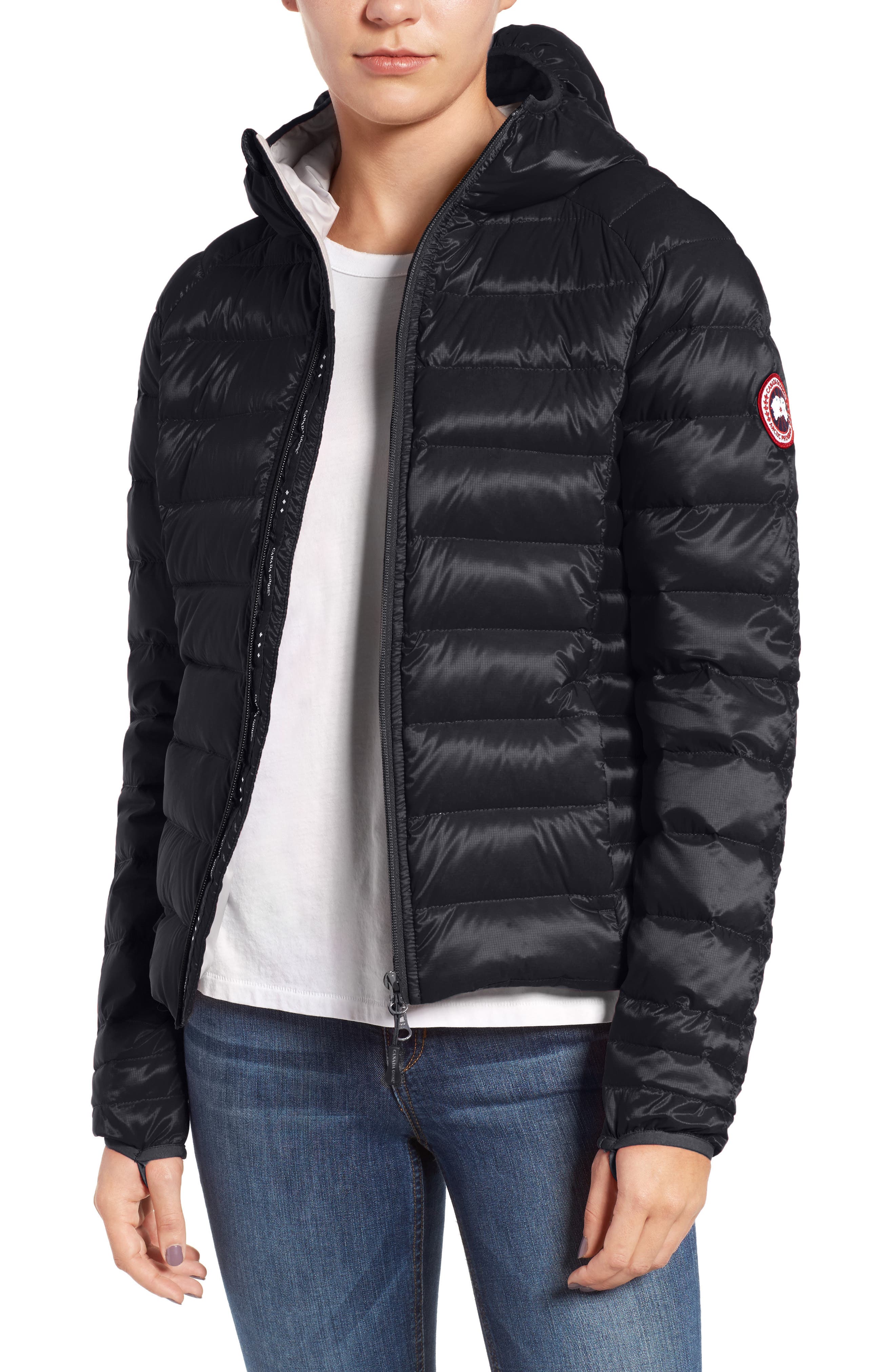 Canada Goose