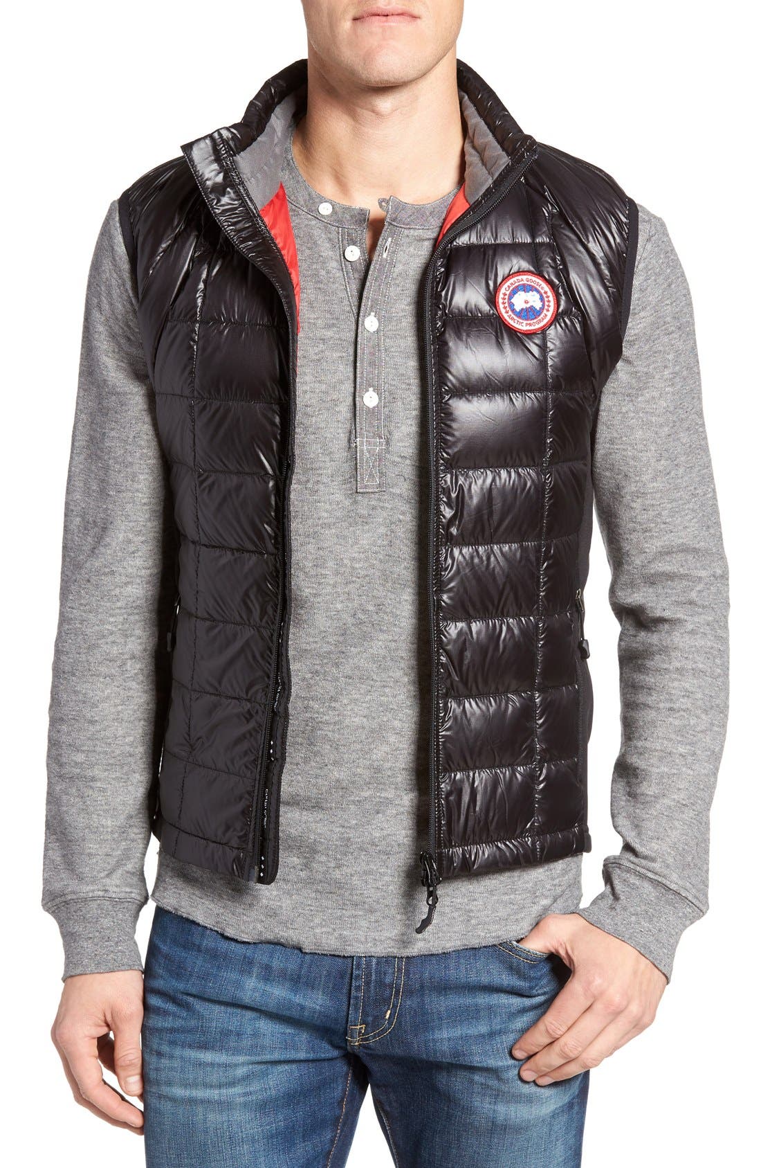 Canada Goose