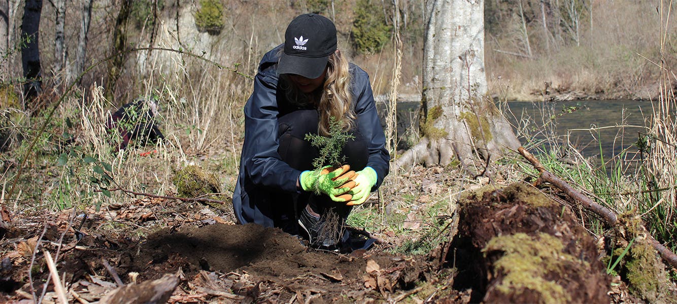 Forterra Tree Planting Event