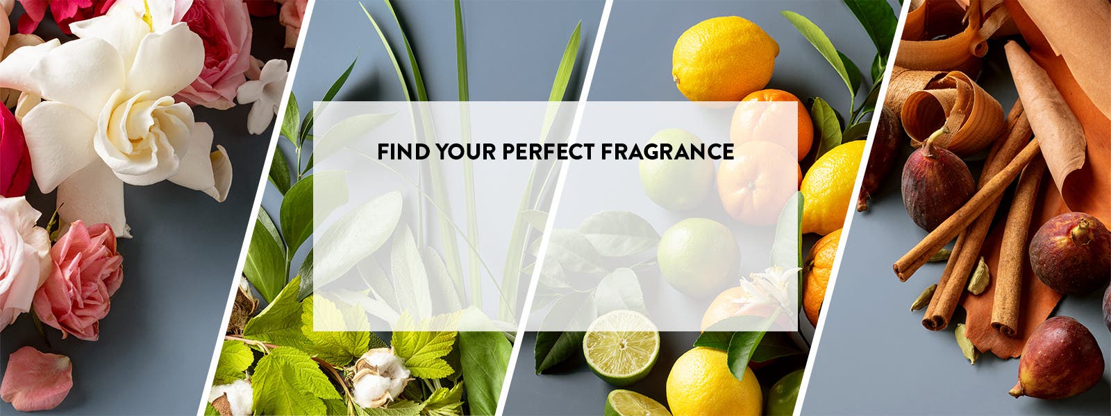 Women's Perfume Nordstrom