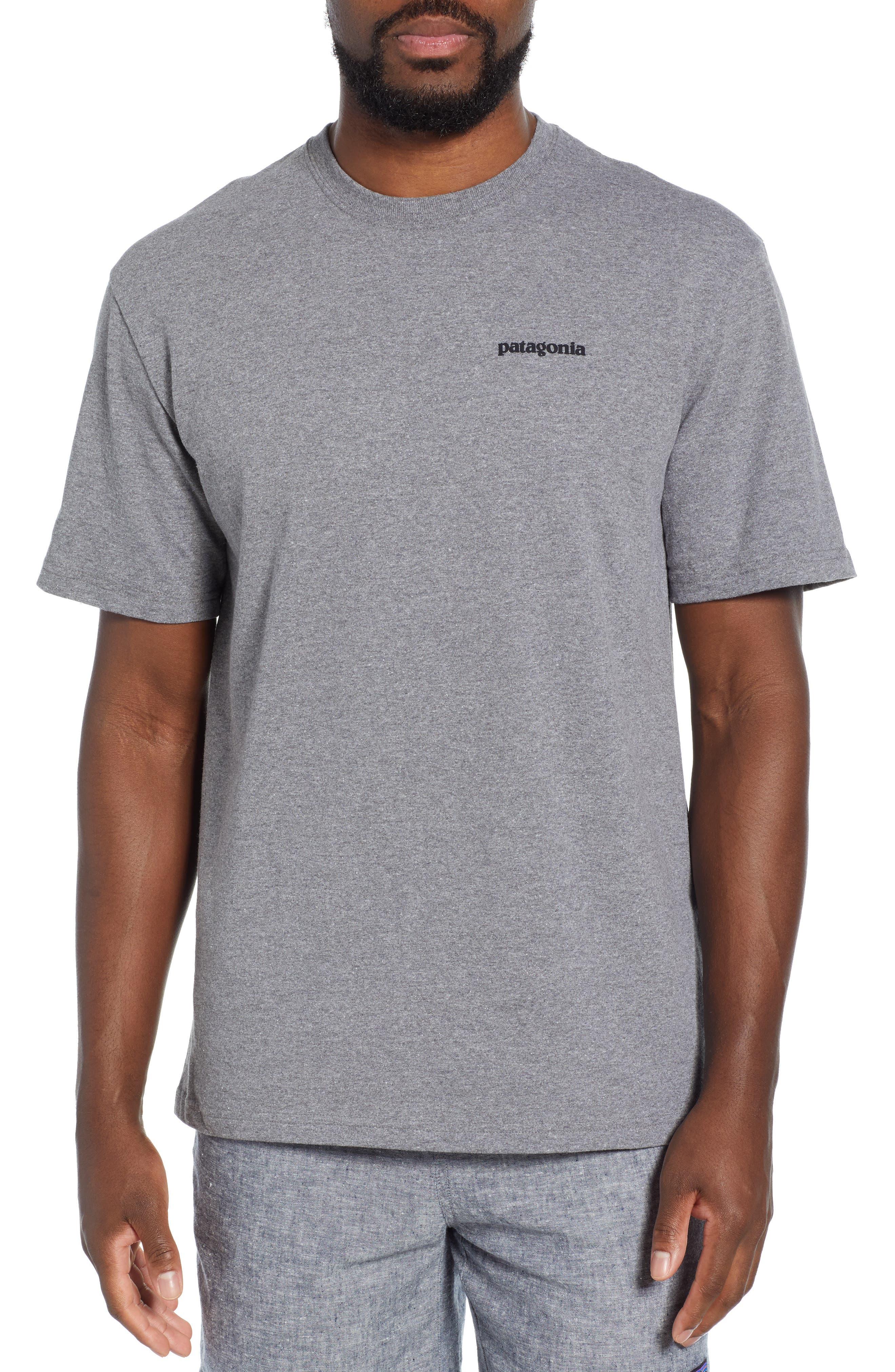 Patagonia Fitz Roy Bison Responsibili-Tee T-Shirt, Grey
