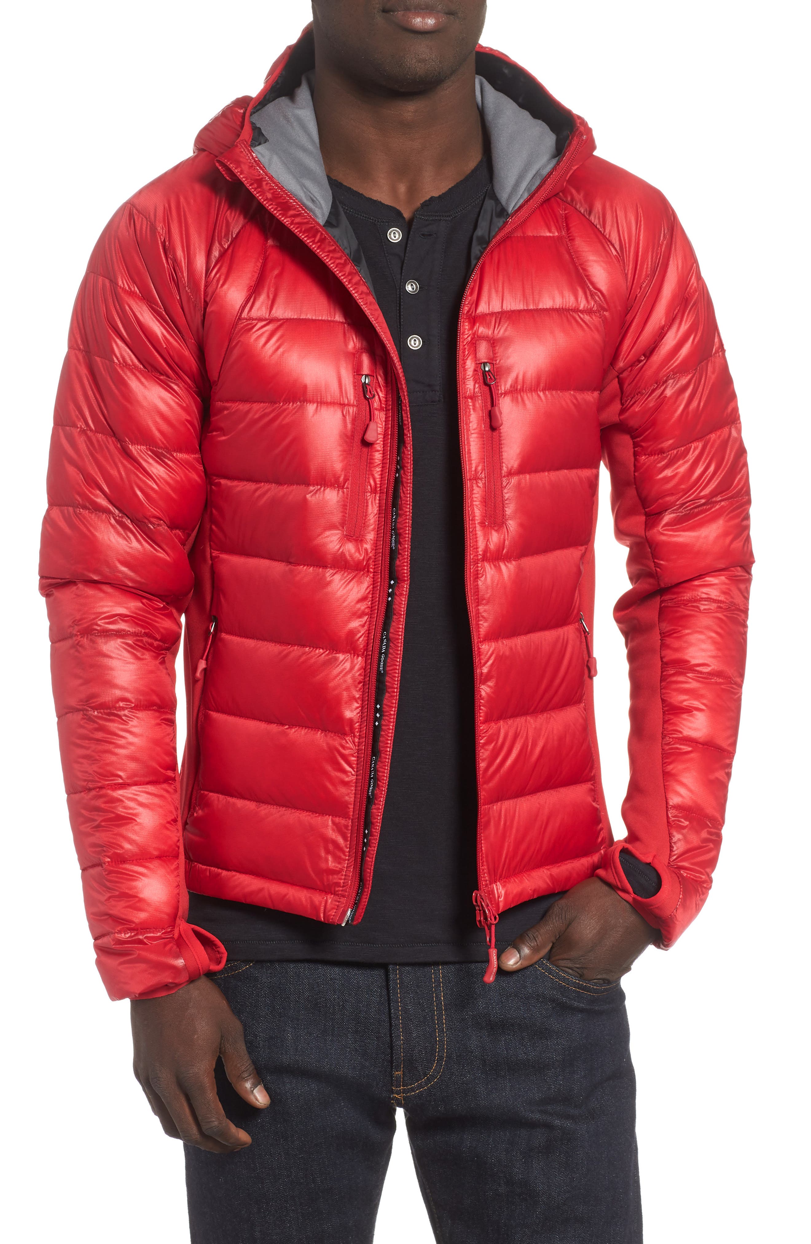 Canada Goose