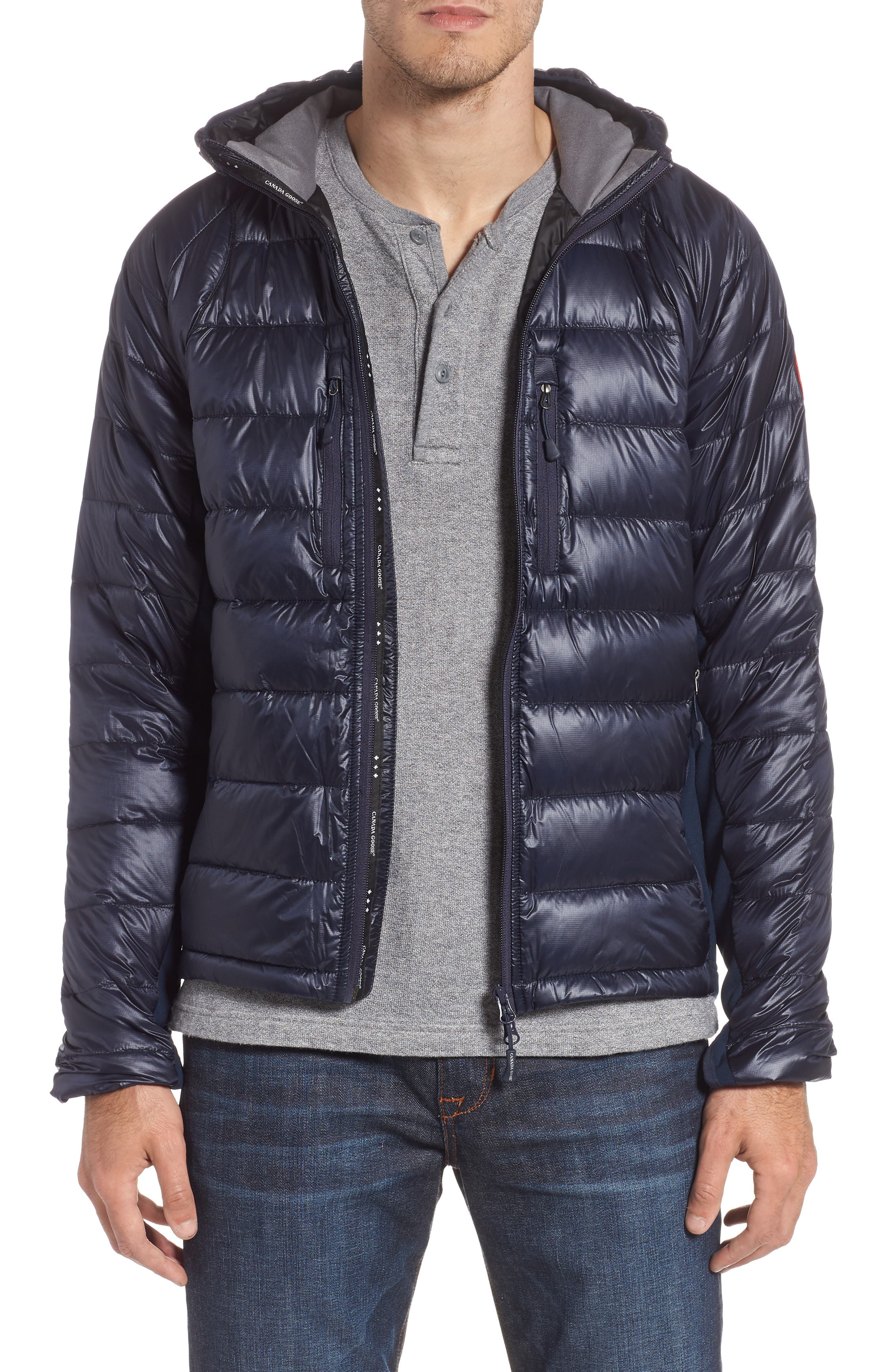 Canada Goose