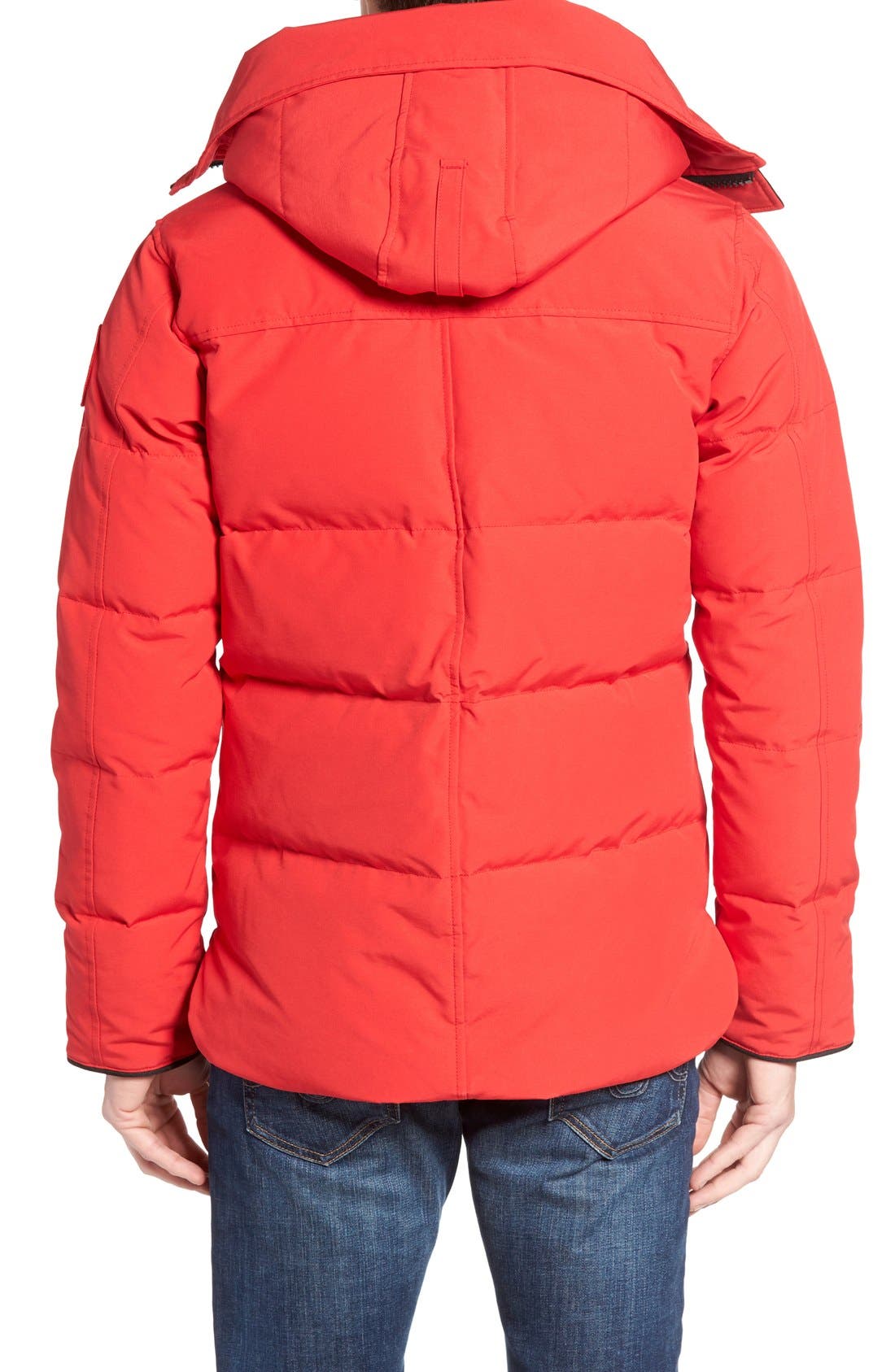 Canada Goose