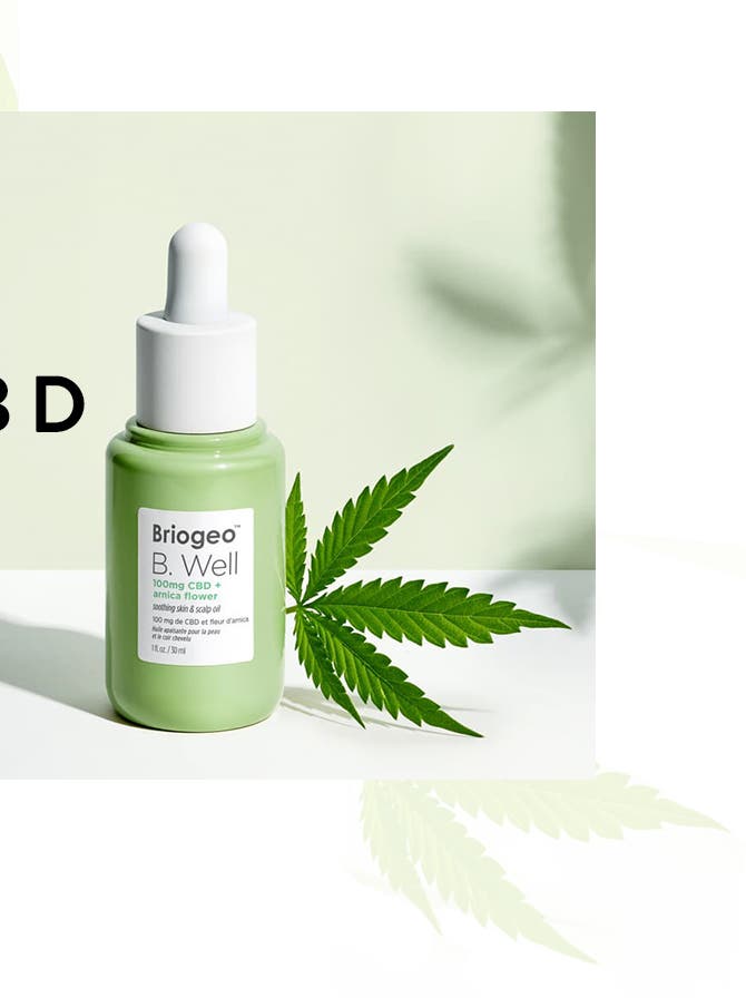 Beginner’s Guide to CBD: the Benefits, the Facts & Our Faves