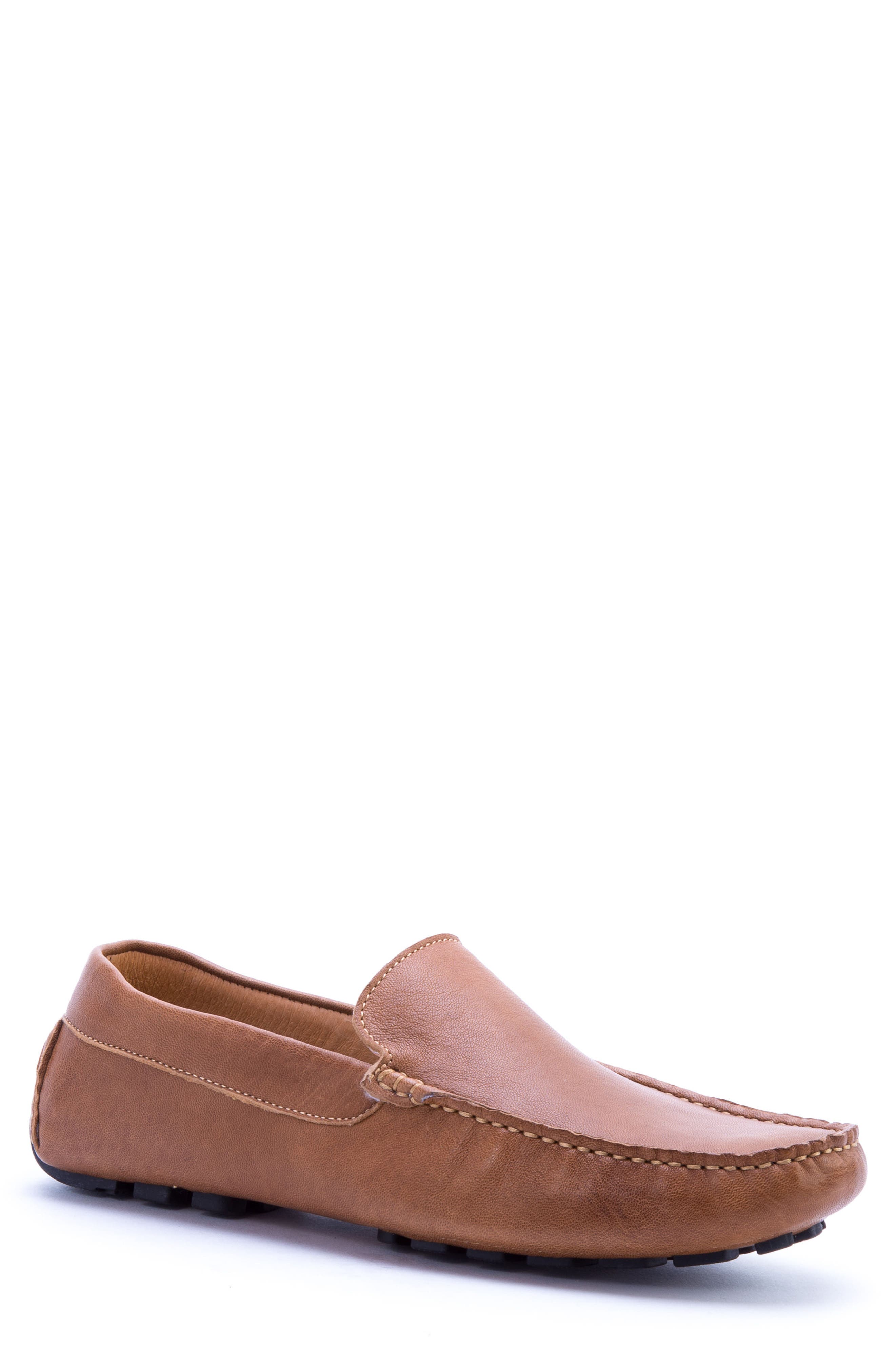 Zanzara Picasso 3 Moc Toe Driving Loafer, Brown