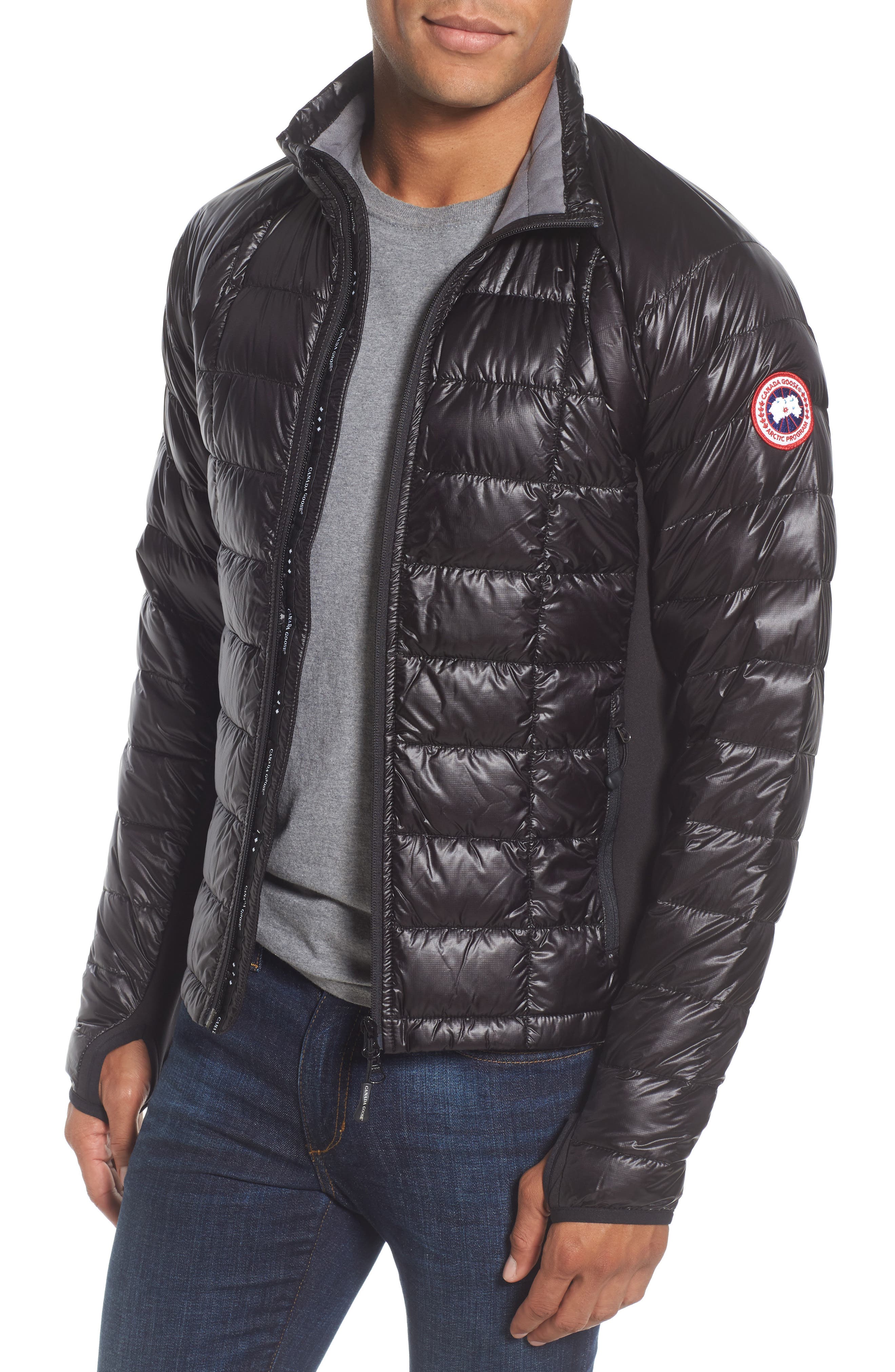 Canada Goose