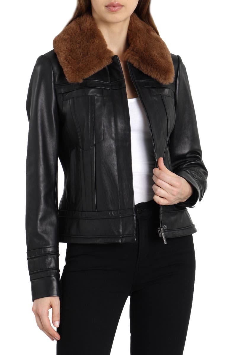 Badgley Mischka Leather Aviator Jacket with Genuine Shearling, Main, color, BLACK