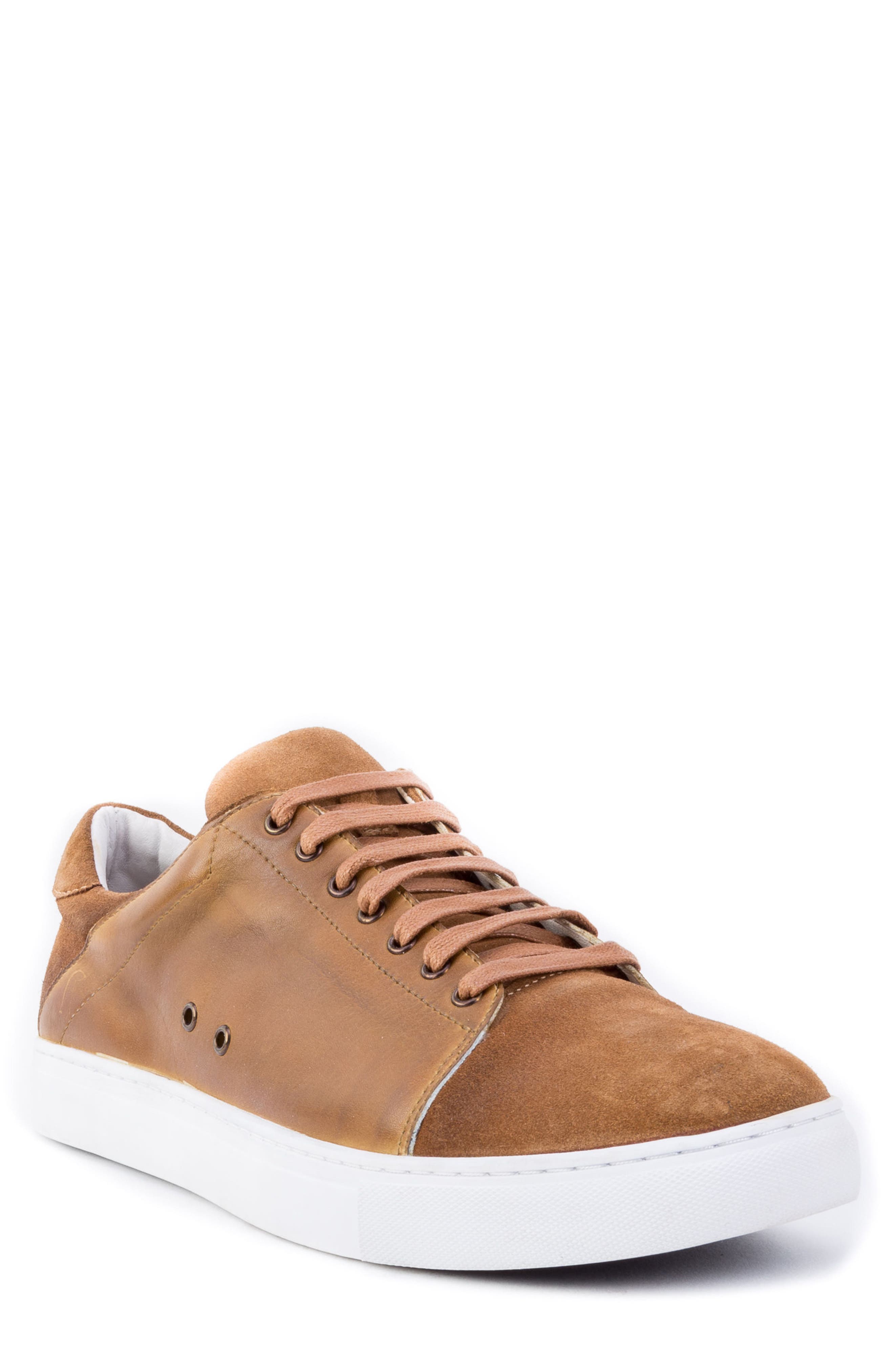 Zanzara Record Low Top Sneaker, Brown