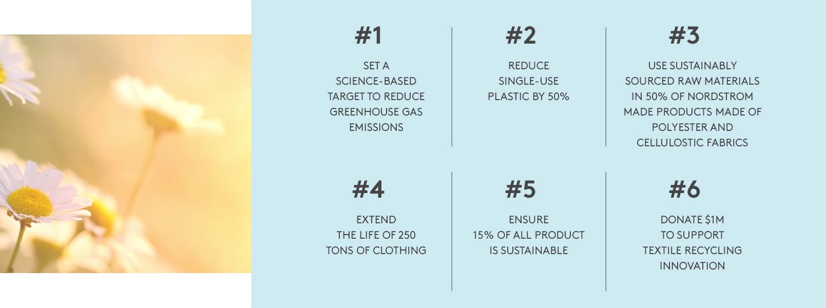 Our 2025 Sustainability Goals