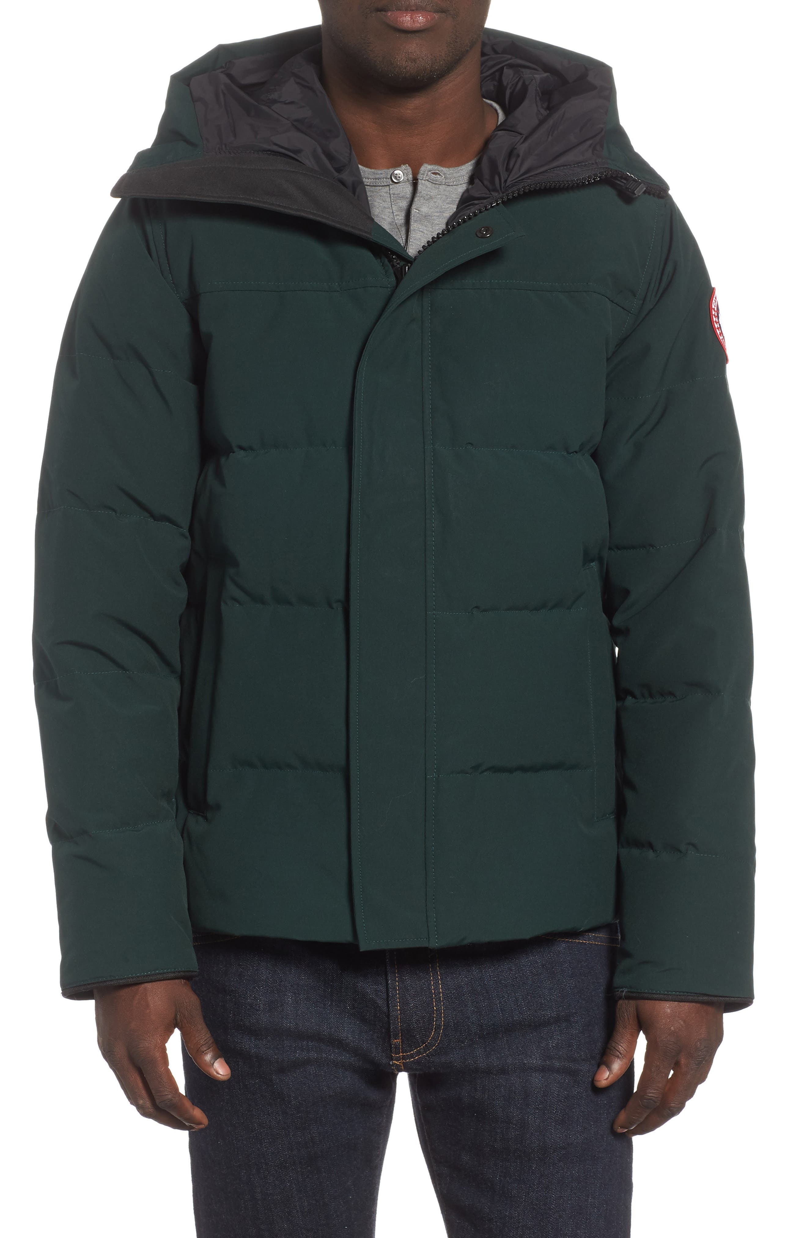 Canada Goose