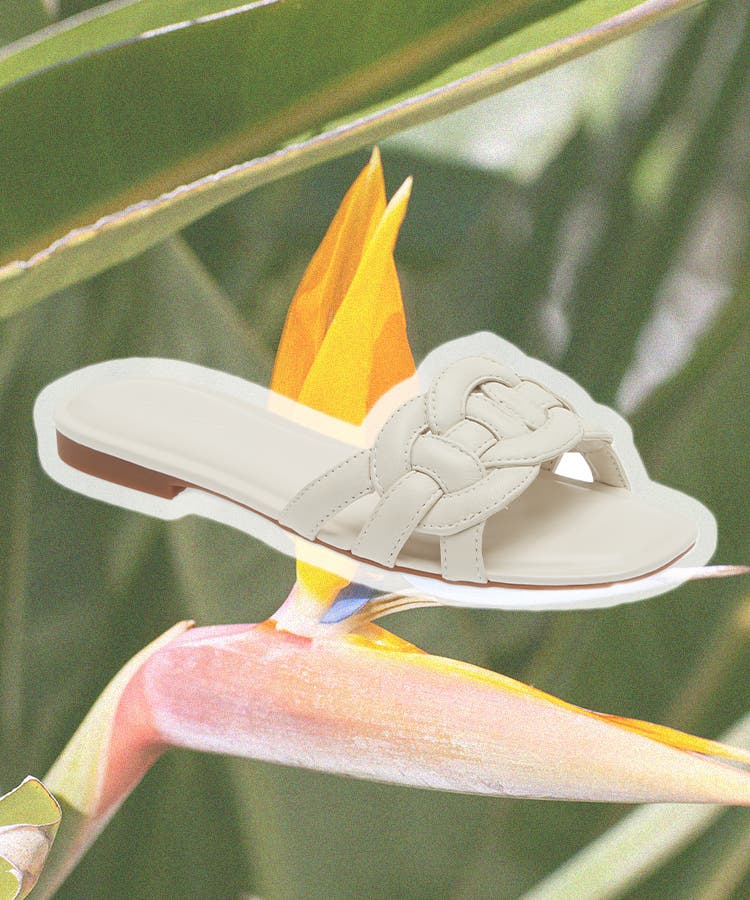 Luxurious Tonal Summer Sandals : gucci sandals