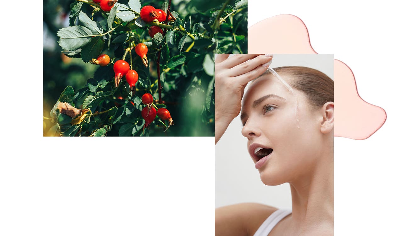Rosehip Oil for the Face Benefits & How to Use it