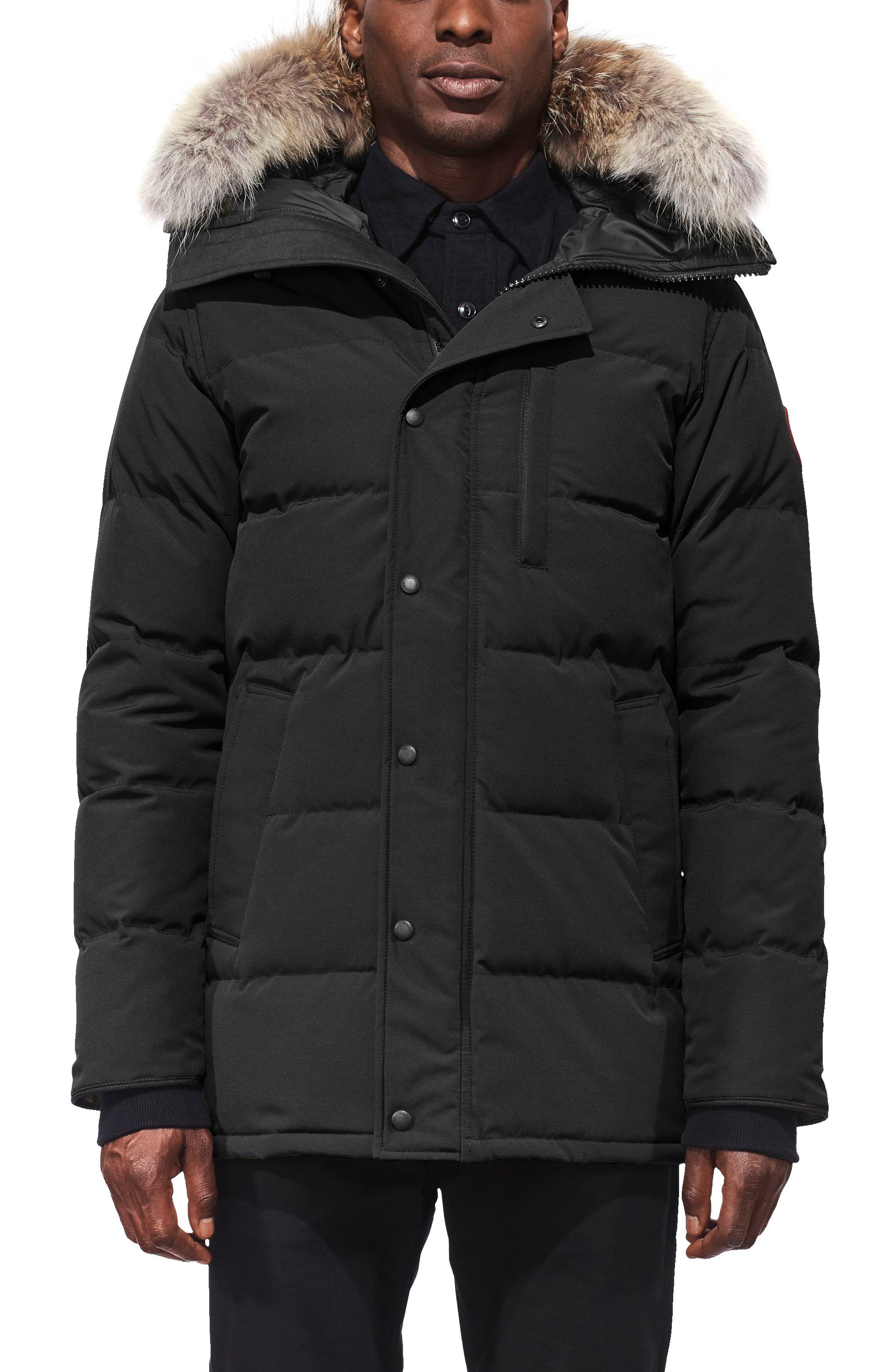 Canada Goose