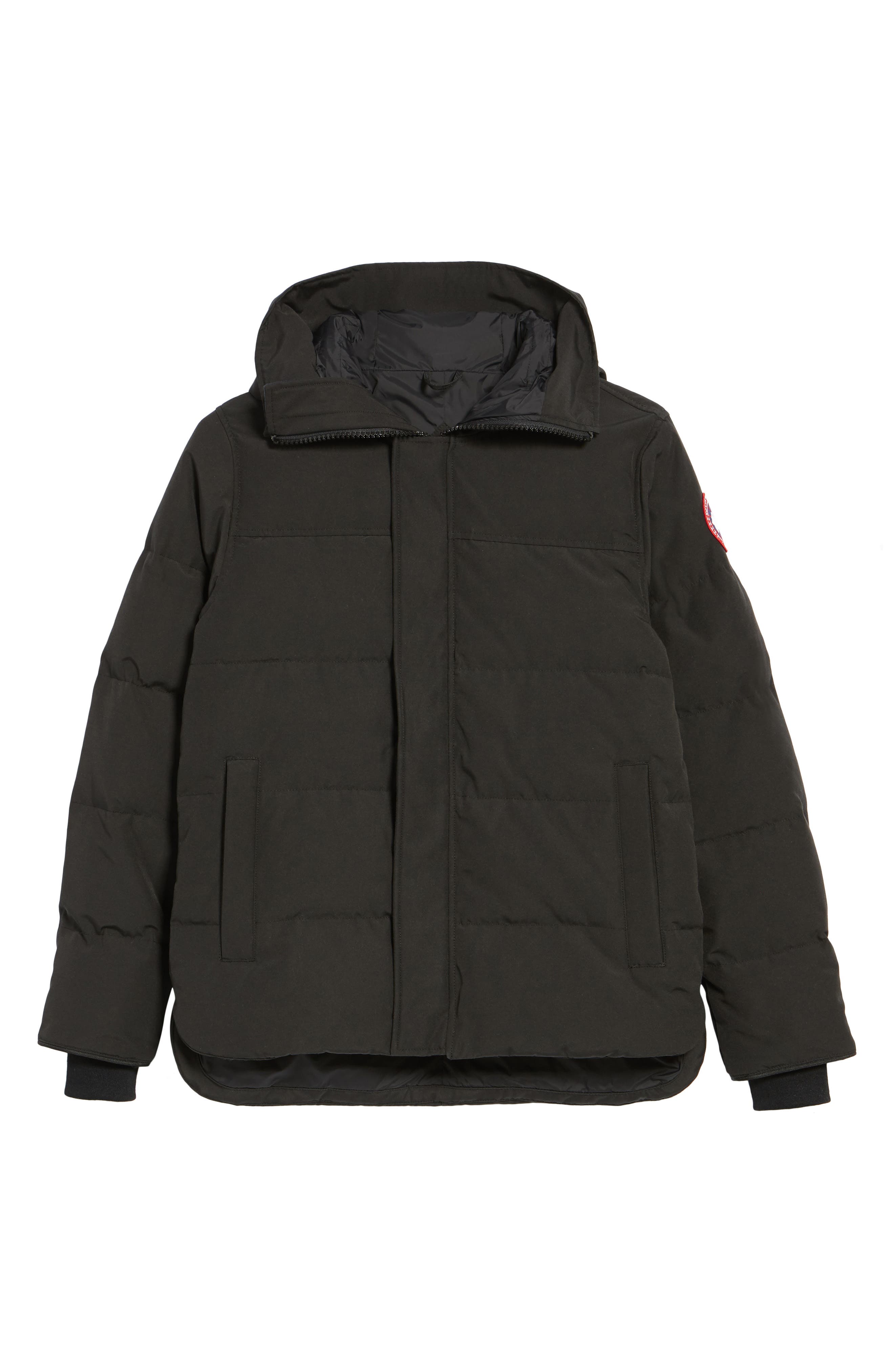 Canada Goose
