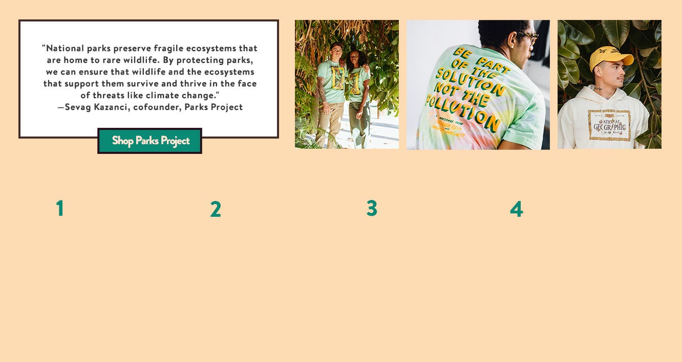 Parks Project