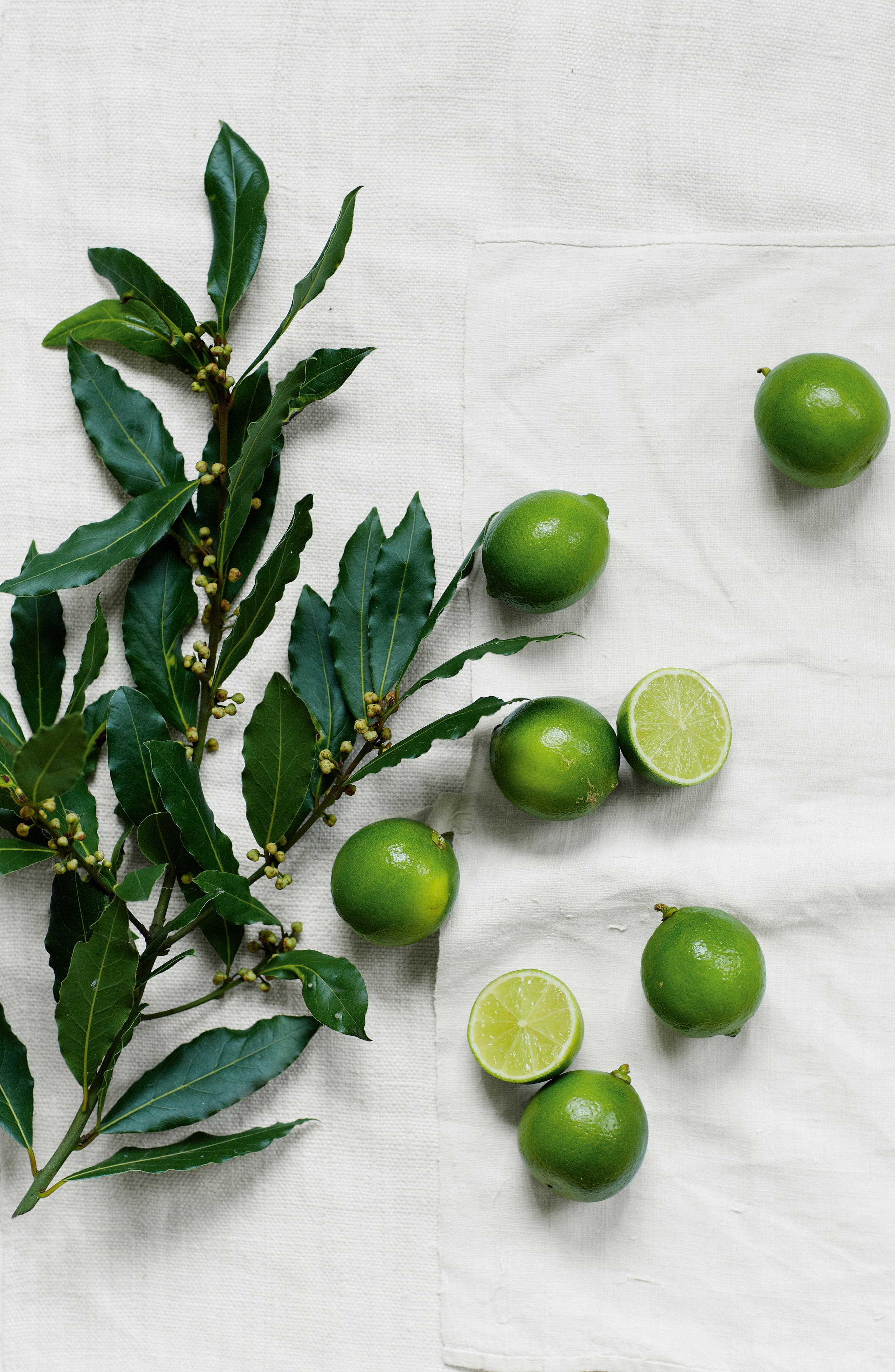 The White Company Home Fragrance Diffuser | Nordstrom