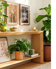 Framed art prints, vases on a bookshelf, potted plants.