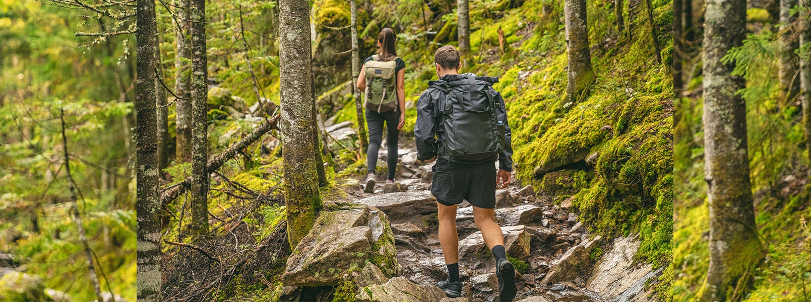 Hiking Shoes Guide: How to Find the Perfect Pair For You