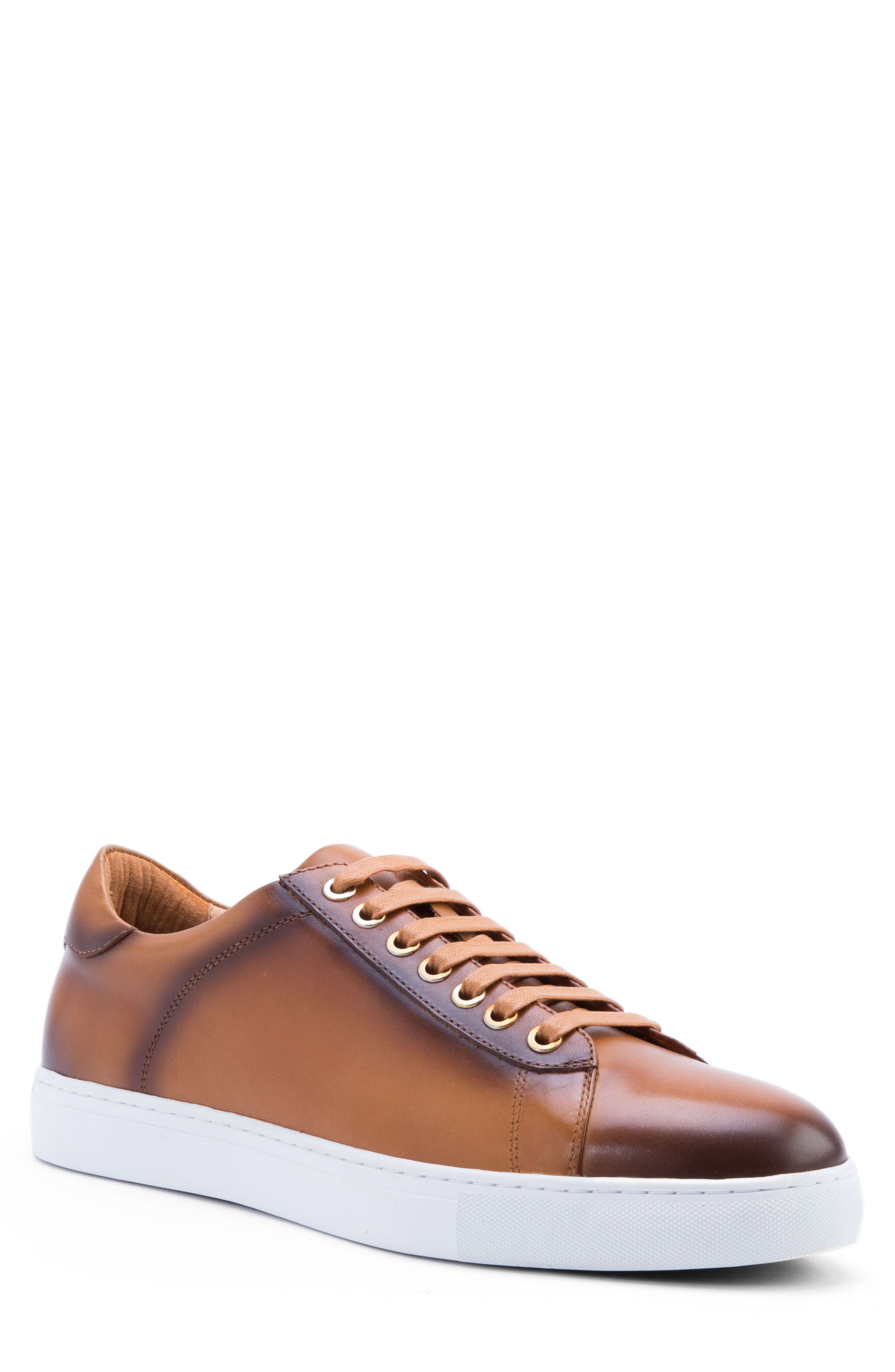 Zanzara Music Low Top Sneaker
