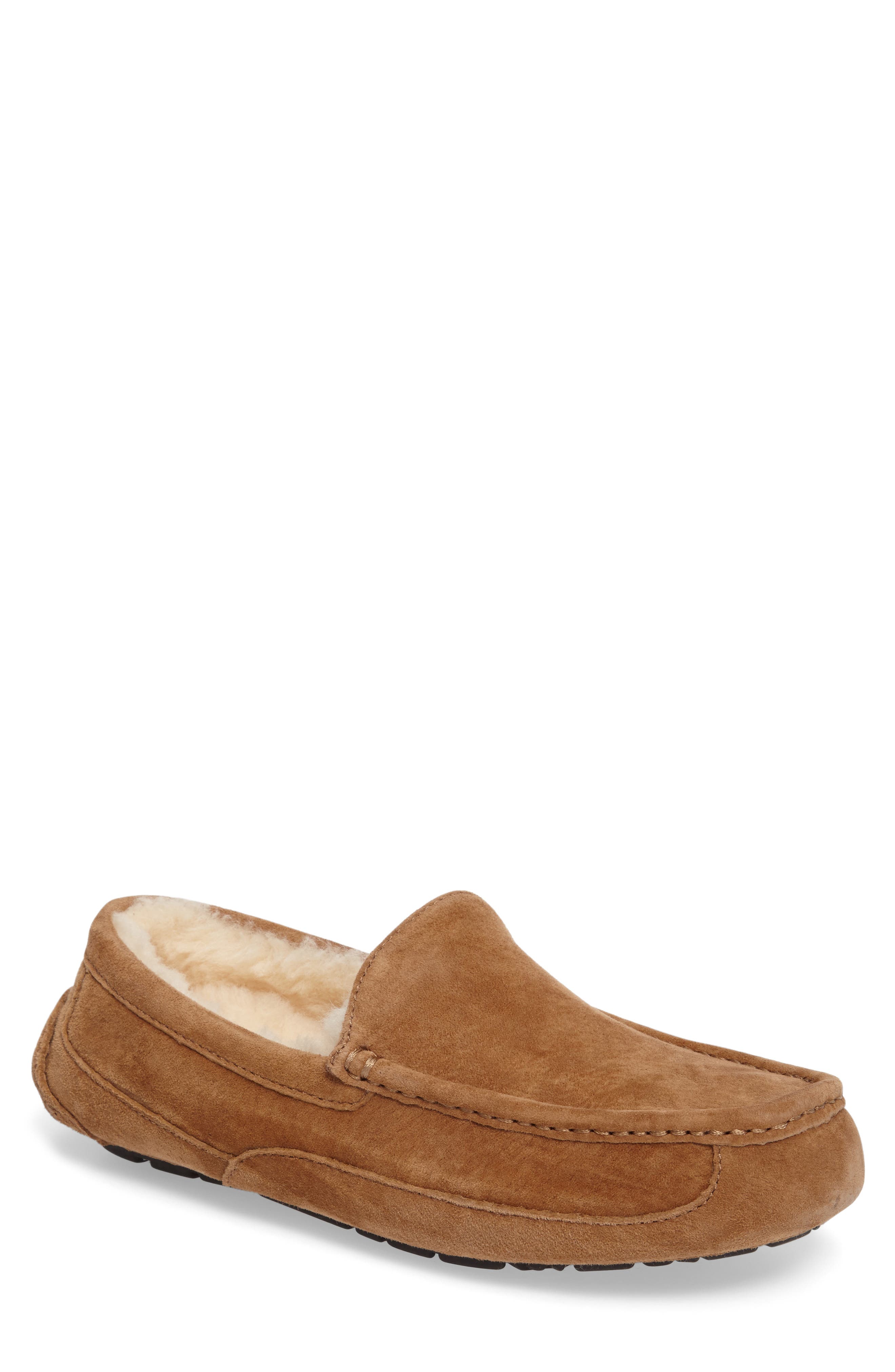 Ugg Ascot Suede Slipper, 8- Brown